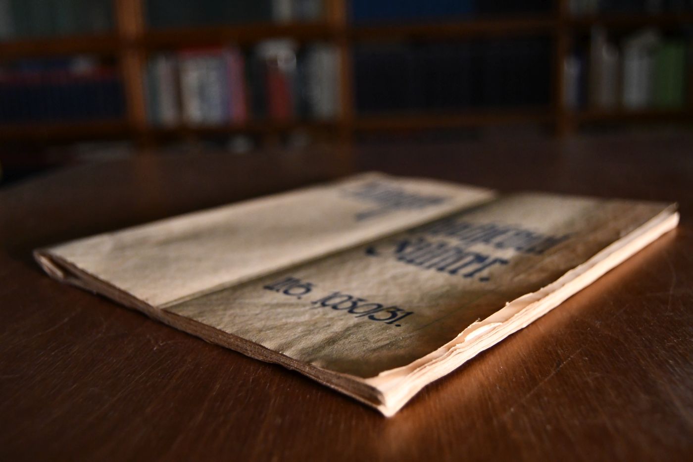 Tübinger Hochschulführer Wintersemester 1930/31.