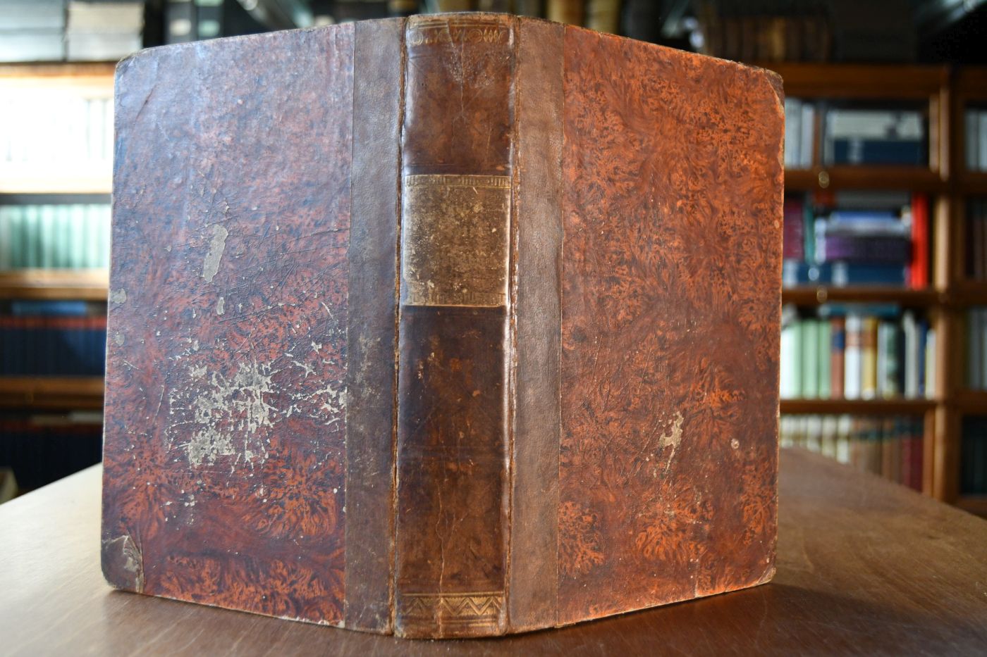 Epistel-Predigtbuch, das ist Glaubens-, Lebens- und Trostlehren aus den ordentlichen Sonn- und Festtags-Episteln.