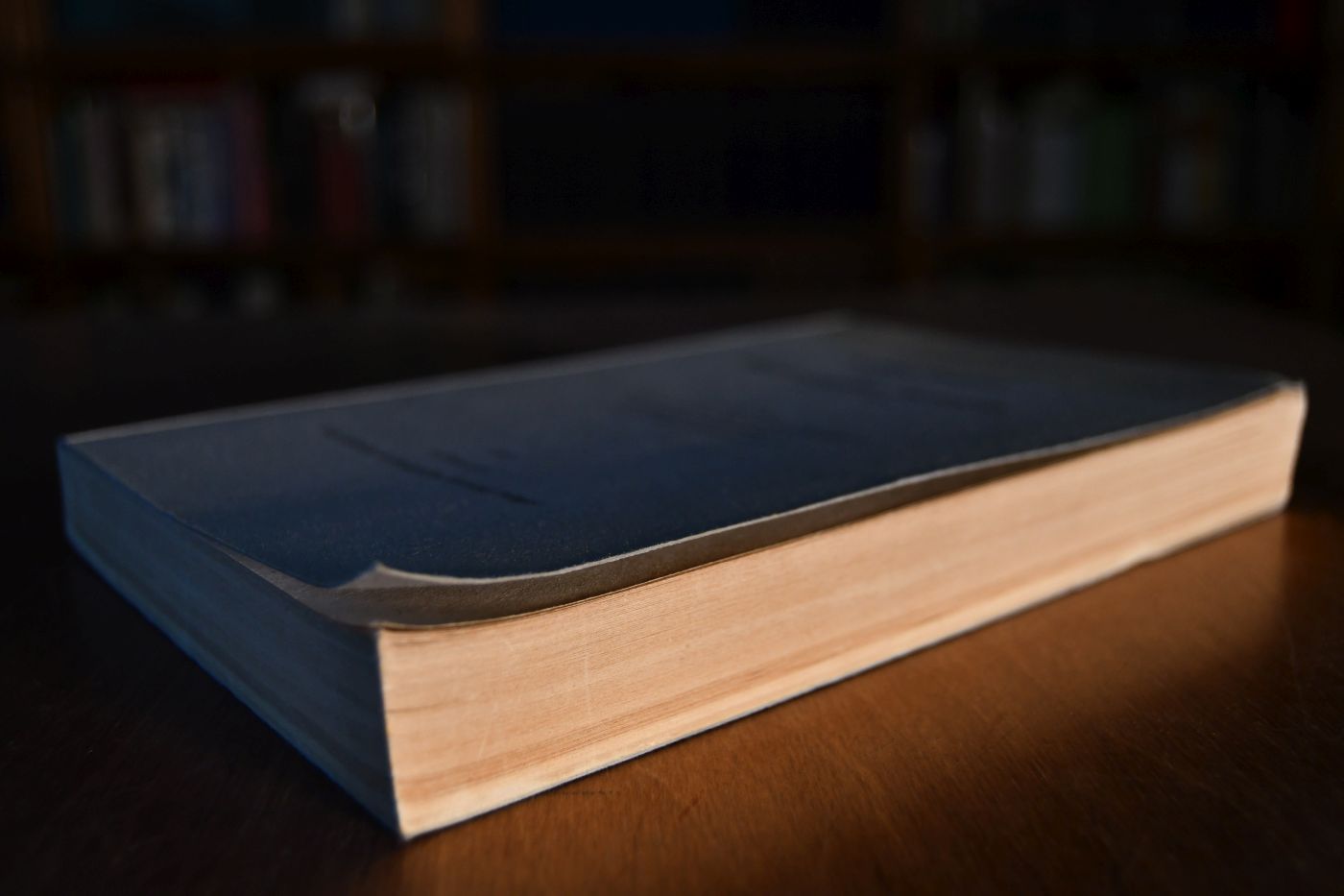 Amtlicher Entwurf zu einem neuen Württembergischen Gesangbuch (Textausgabe). Im Auftrag des 4. Evangelischen Landeskirchentags als Manuskript gedruckt.