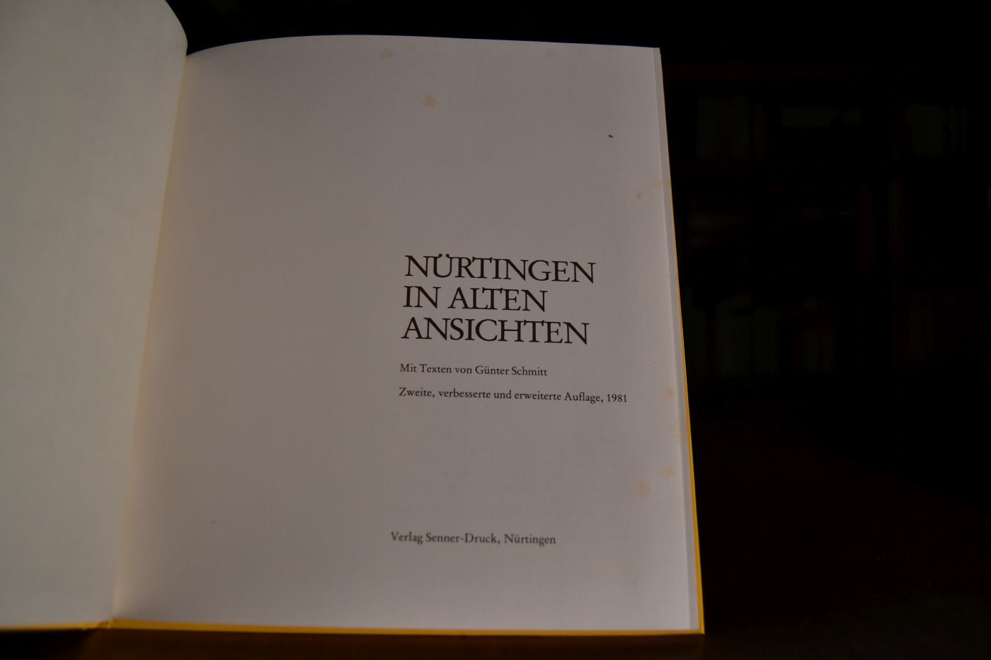 Nürtingen in alten Ansichten.