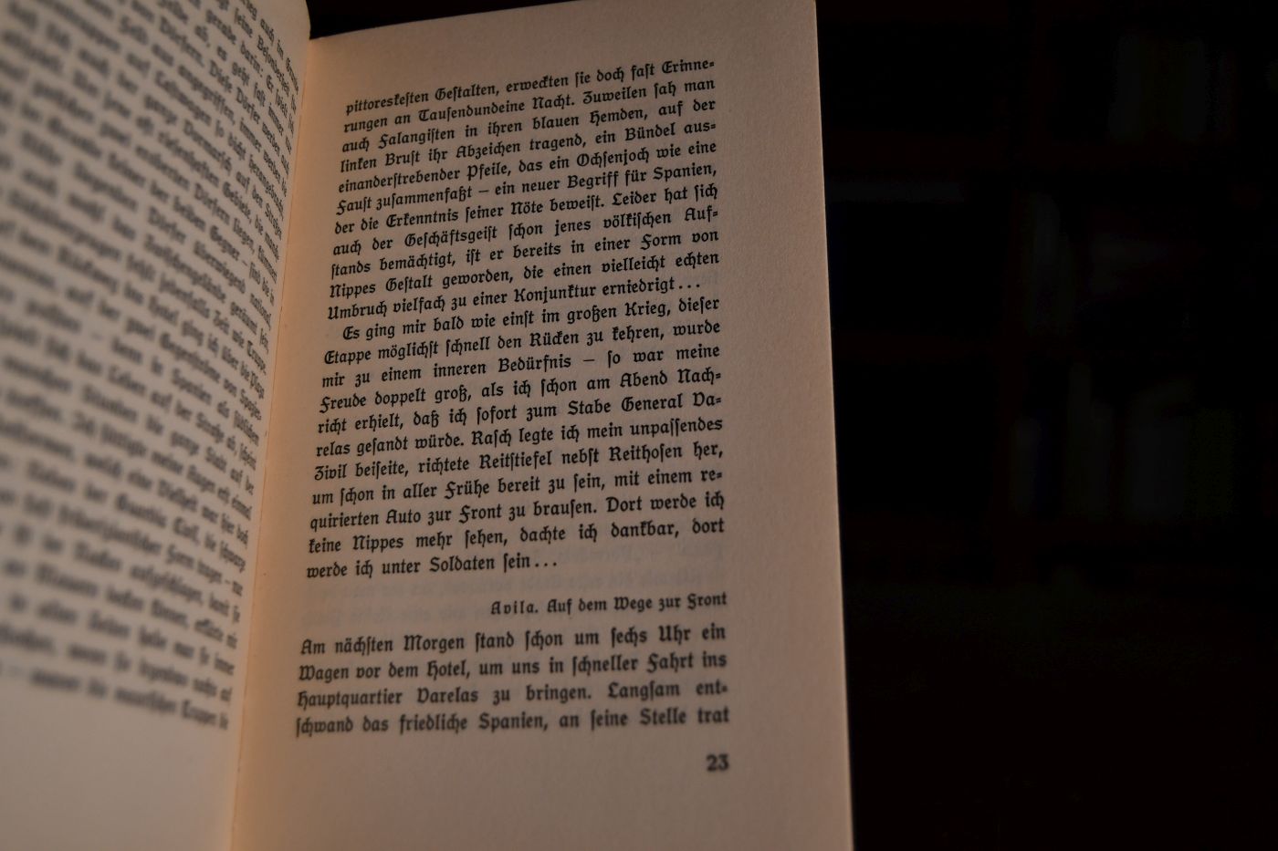 Spanische Silhouetten. Tagebuch einer Frontreise.