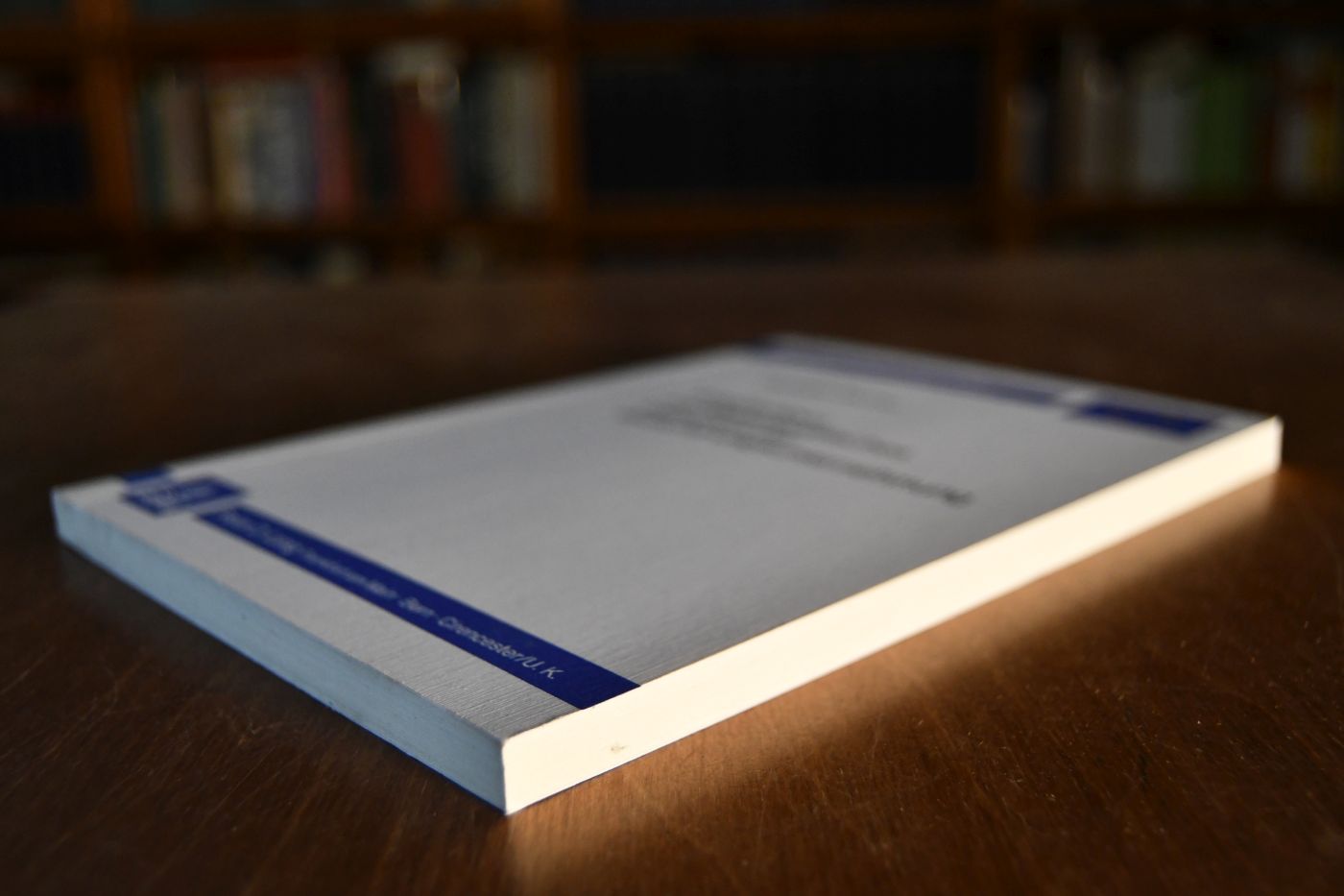 Vergütungen als absatzpolitisches Instrument der Versicherungsunternehmung.