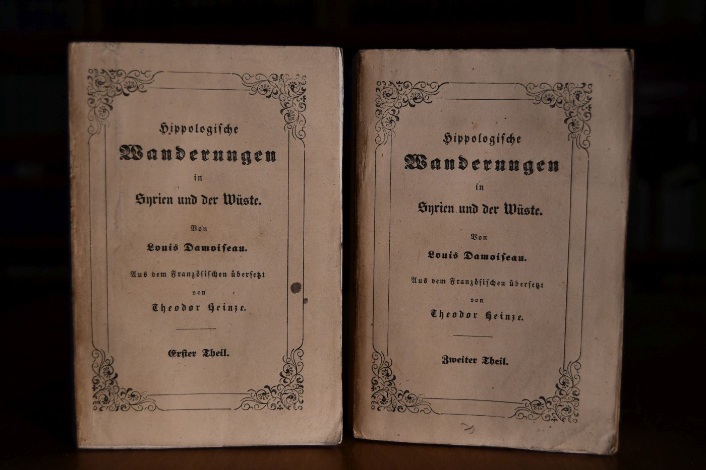 Hippologische Wanderungen in Syrien und der Wüste. 1. + 2, Theil.