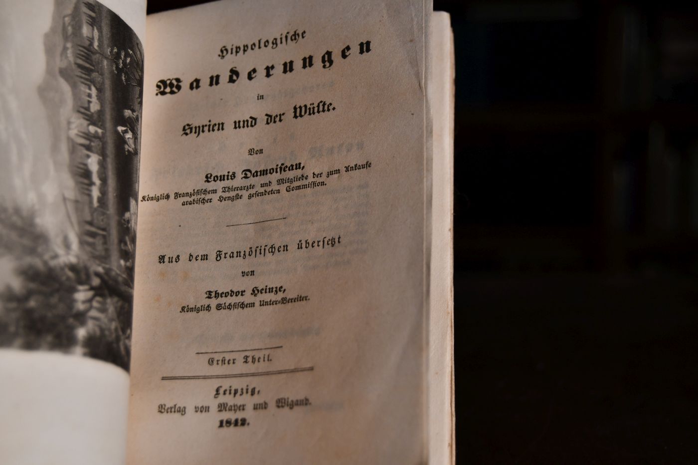 Hippologische Wanderungen in Syrien und der Wüste. 1. + 2, Theil.