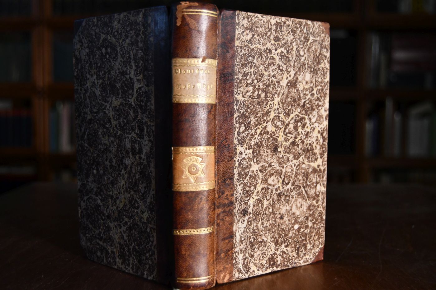 Roß-Arzt oder Unterricht die Krankheiten der Pferde zu erkennen und zu curiren. Mit angehängtem Recept-Buch.