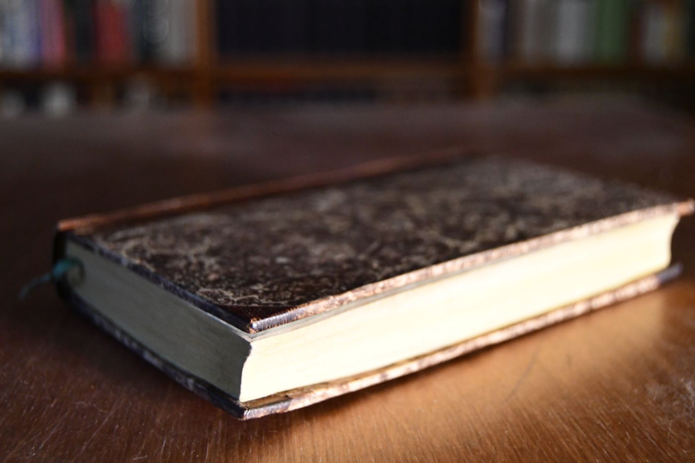 Roß-Arzt oder Unterricht die Krankheiten der Pferde zu erkennen und zu curiren. Mit angehängtem Recept-Buch.