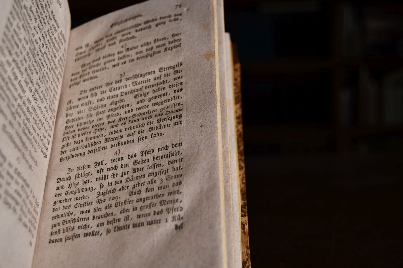 Roß-Arzt oder Unterricht die Krankheiten der Pferde zu erkennen und zu curiren. Mit angehängtem Recept-Buch.