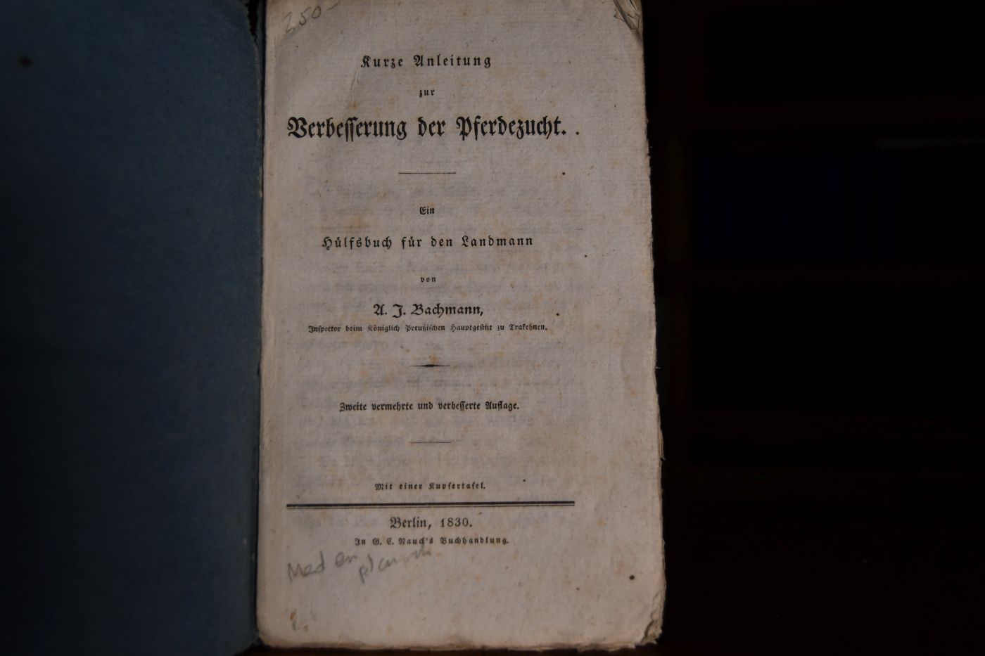 Kurze Anleitung zur Verbesserung der Pferdezucht. Ein Hilfsbuch für den Landmann.