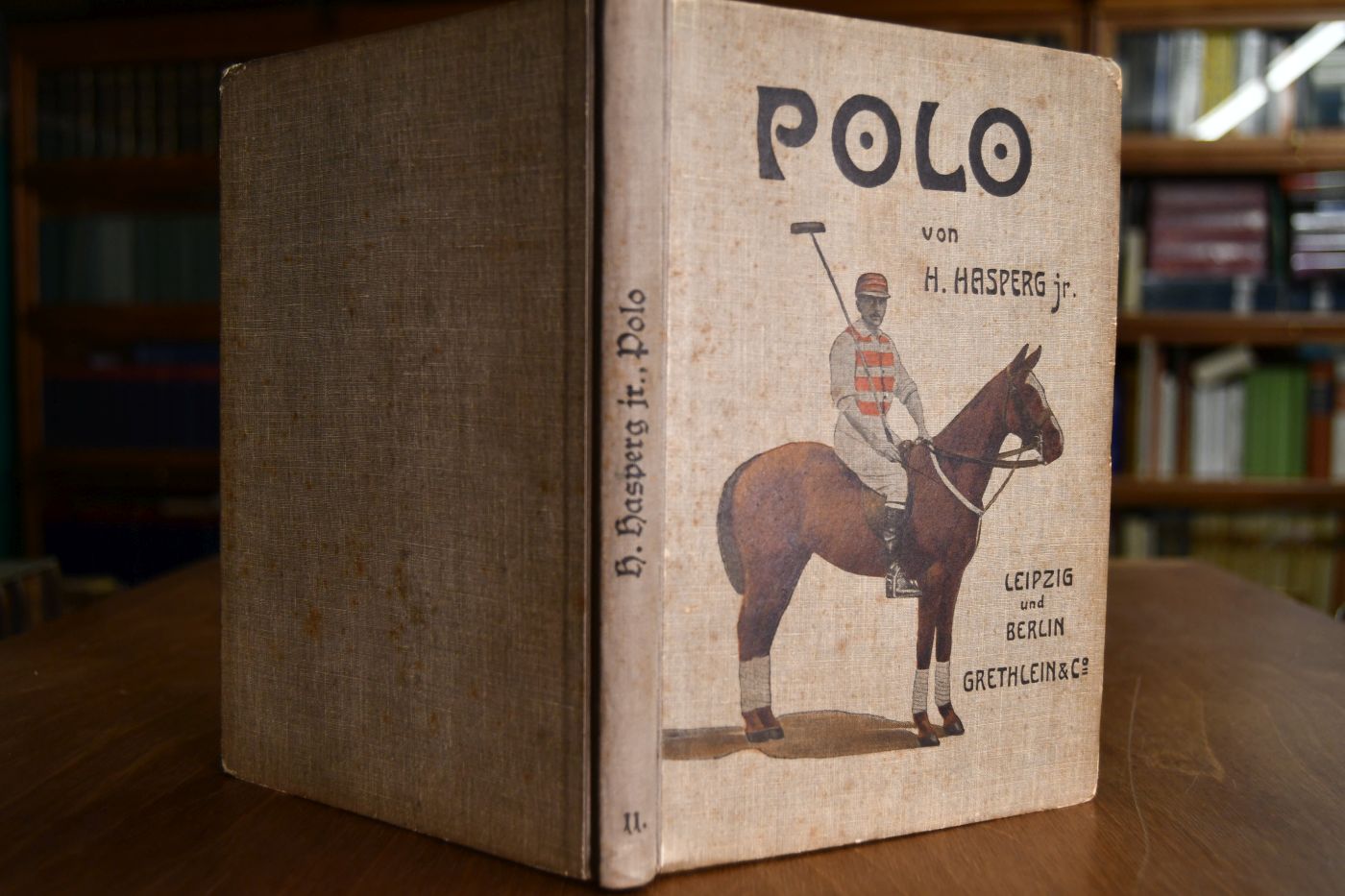 Polo.