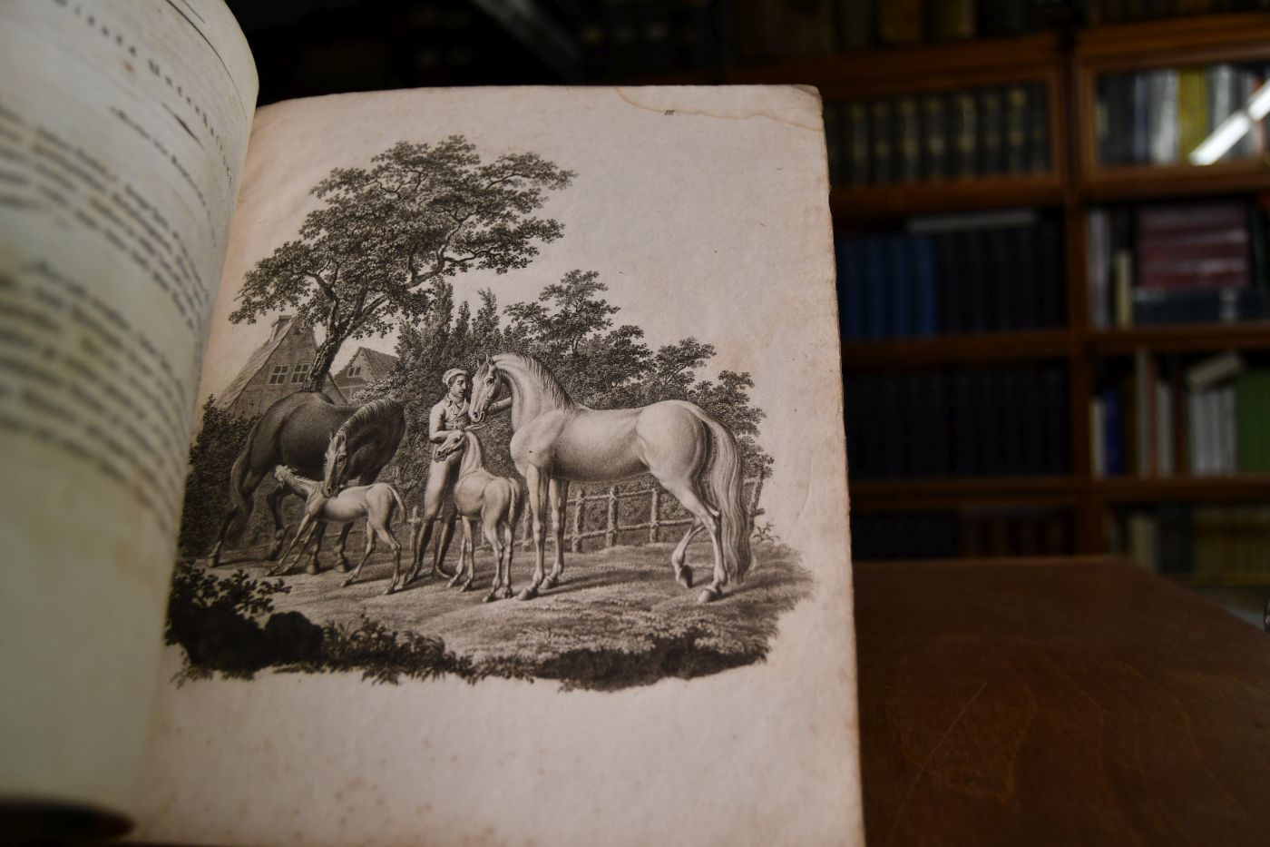Das Pferd für Knaben. Ein belehrendes und unterhaltendes Bilderbuch. Erstes Heft (mehr nicht erschienen).