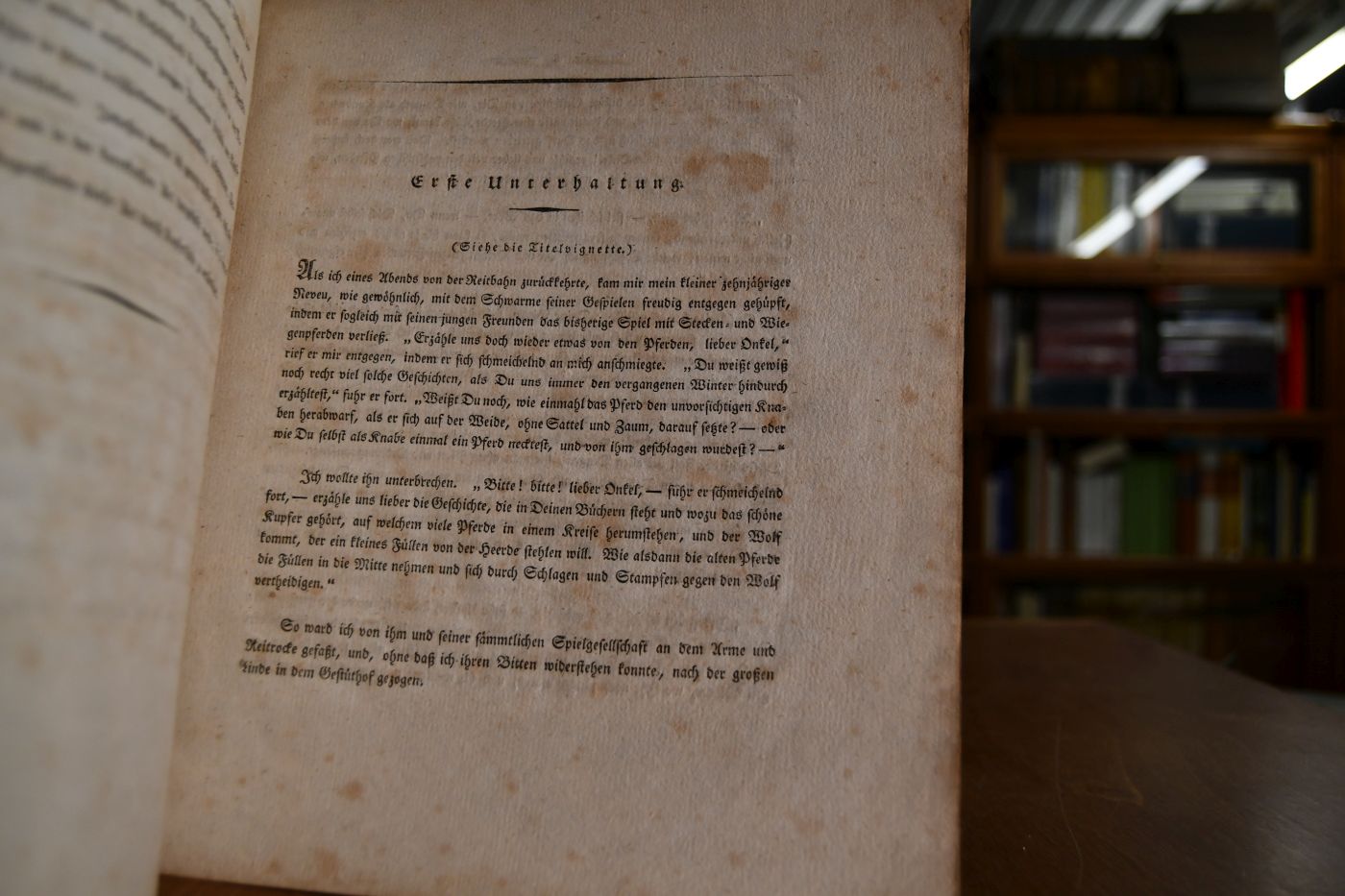 Das Pferd für Knaben. Ein belehrendes und unterhaltendes Bilderbuch. Erstes Heft (mehr nicht erschienen).