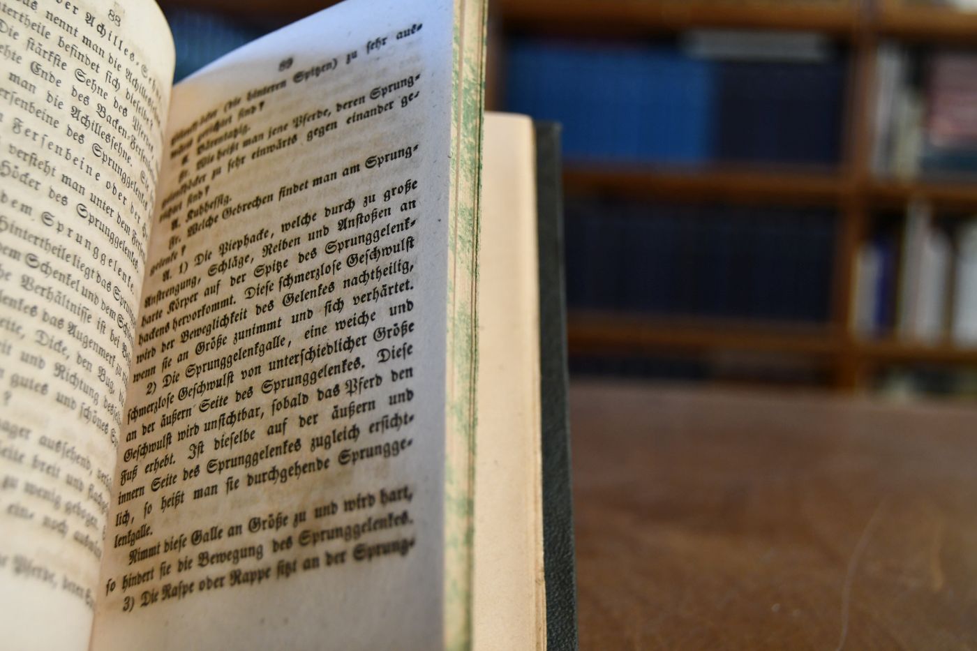 Katechismus über das Aeußere, die Pflege, die Gänge, das Beschlagen, die Erkennung und Behandlung der Krankheiten, die Zucht und die Stämme des Pferdes für Männer, welche auf, bei, mit, neben und unter Pferden leben.