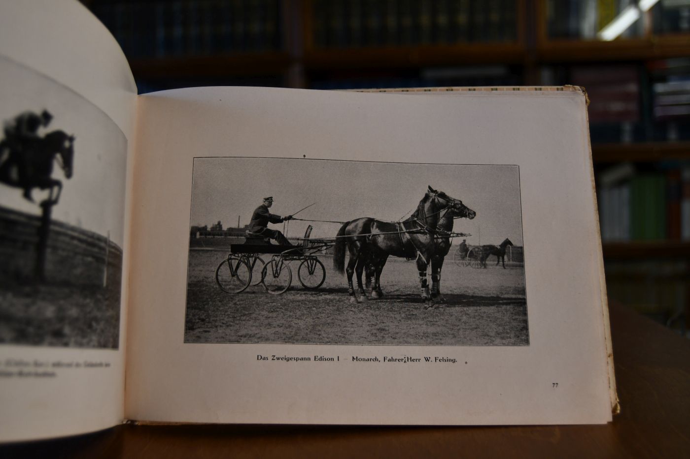 Pferde-Sport. Eine hippologische Bildeer-Revue. Sport-Album des "Sankt Georg" 1911.