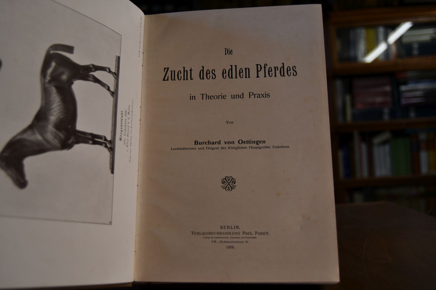 Die Zucht des edlen Pferdes in Theorie und Praxis.