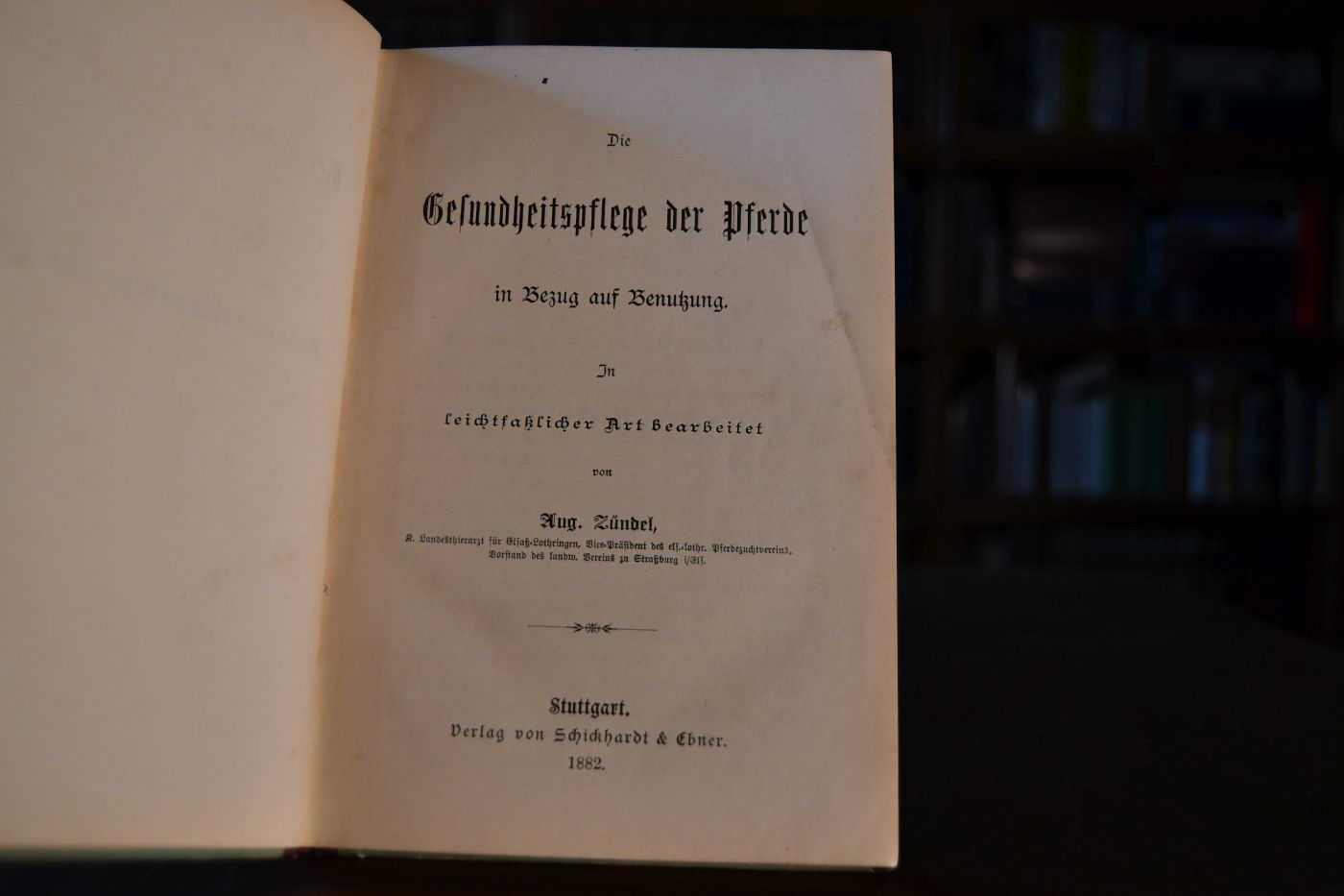 Die Gesundheitspflege der Pferde in Bezug auf Benutzung. In leichtfaßlicher Art bearbeitet.