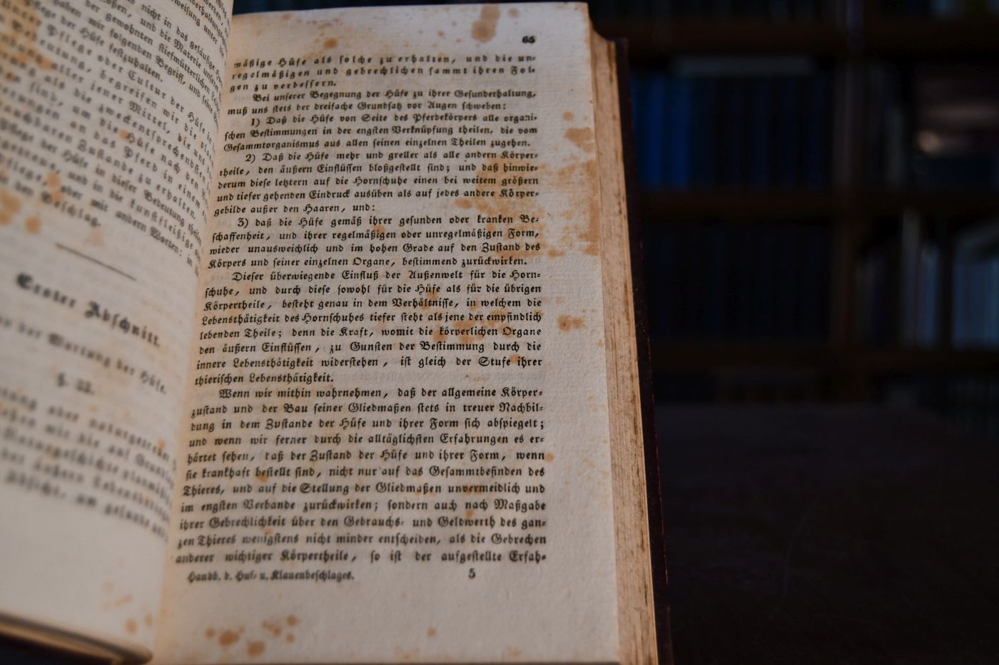 Handbuch des Huf- und Klauenbeschlages oder gründlicher, wissenschaftlich-practischer Unterricht über alle diejenigen Mittel, wodurch gesunde Hüfe gesund erhalten, die unregelmäßig gebildeten und gebrechlichen verbessert, und die erkrankten wieder geheilt werden.