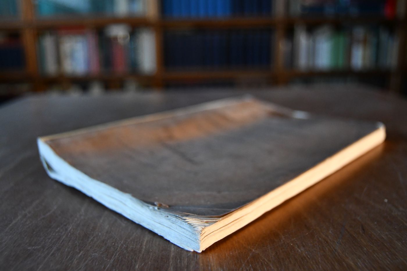 Die Stallkunde. Ein nützliches Handbuch für alle Pferdebesitzer und Jene, welchen Pferde zur Aufsicht oder Behandlung anvertraut sind und insbesondere für jeden berittenen Militär.