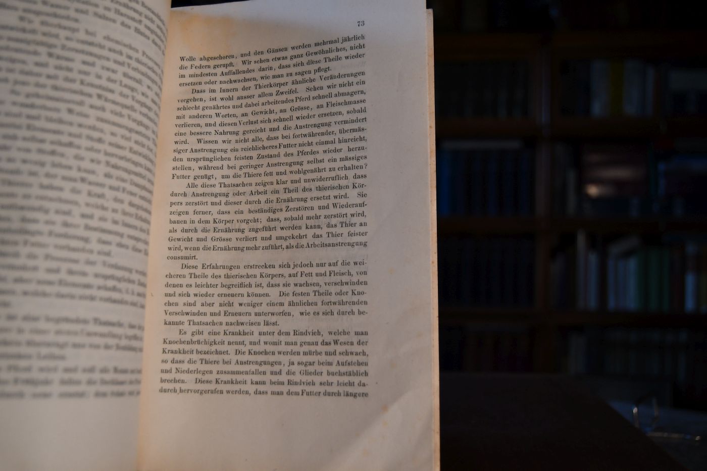 Die Stallkunde. Ein nützliches Handbuch für alle Pferdebesitzer und Jene, welchen Pferde zur Aufsicht oder Behandlung anvertraut sind und insbesondere für jeden berittenen Militär.