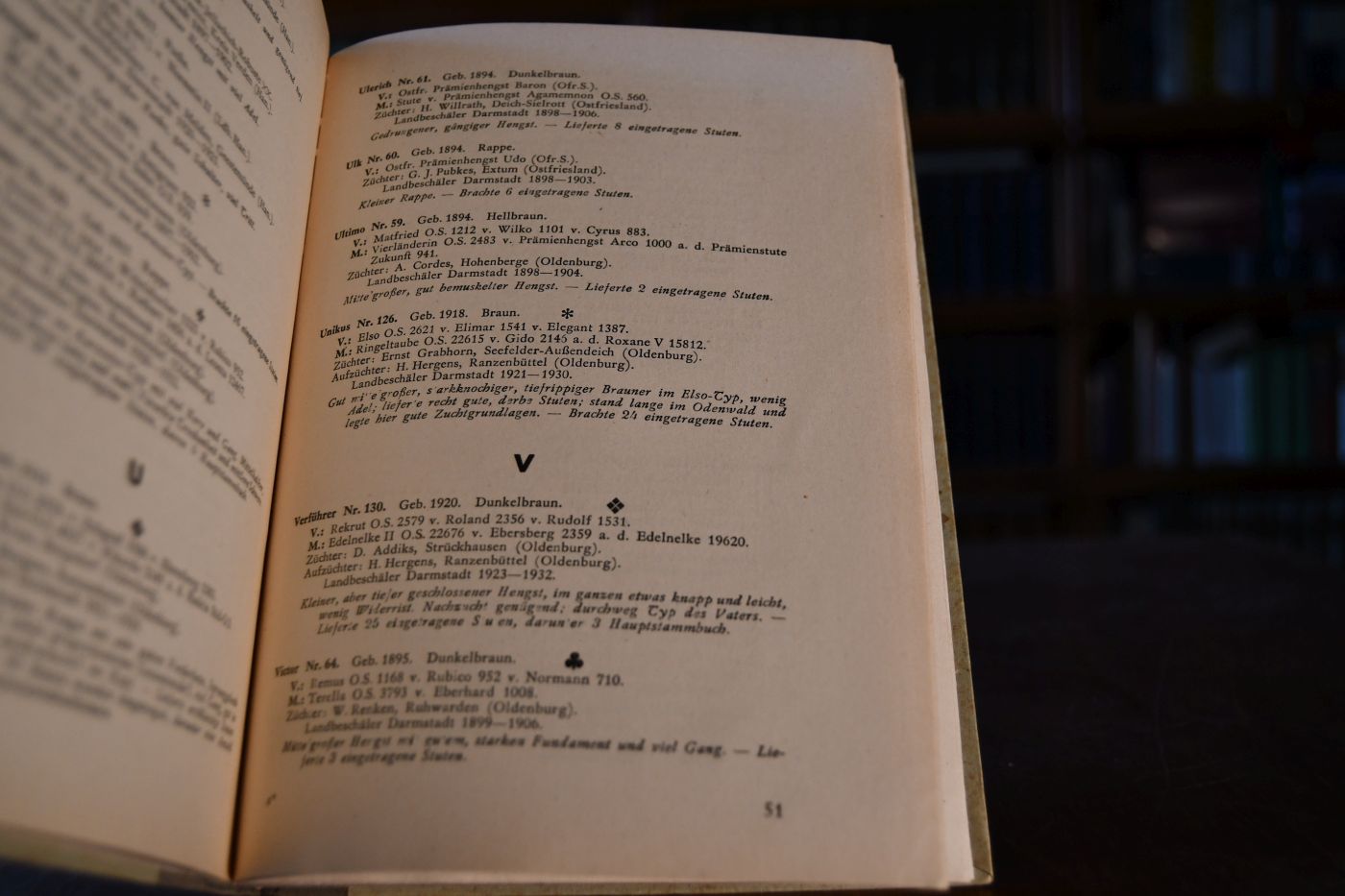 Hengstbuch der Landespferdezucht Hessen-Nassau. Warm- und Kaltbluthengste und ihre Blutlinien 1900 bis 1940.