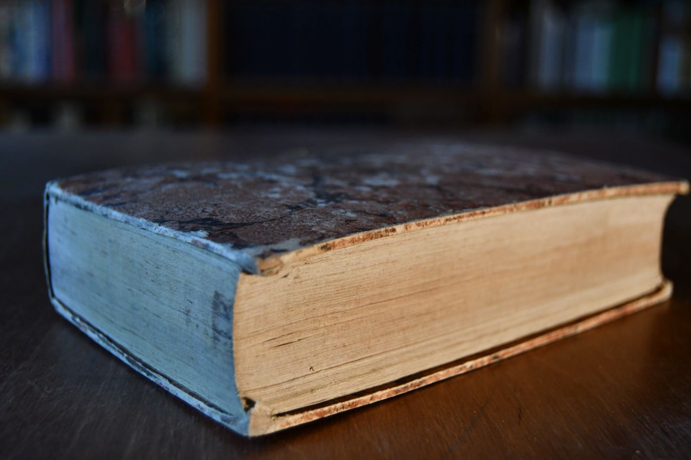 William Gibsons Abhandlung von den Krankheiten der Pferde und ihrer Heilung, nebst dessen Anweisung über die Behandlung derselben, sowohl in Betreff der verschiedenen Futterung als Arbeit, und einer Methode nach welcher Pferde zu purgiren, aus dem Englischen nach der zweyten verbesserten Ausgabe übersetzt und durchgesehen von Johann Georg Christoph Koch. 2 Teile in einem Band.