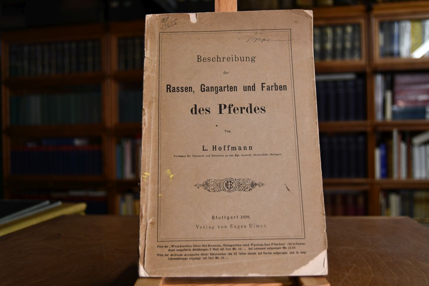 Beschreibung der Rassen, Gangarten und Farben des Pferdes.