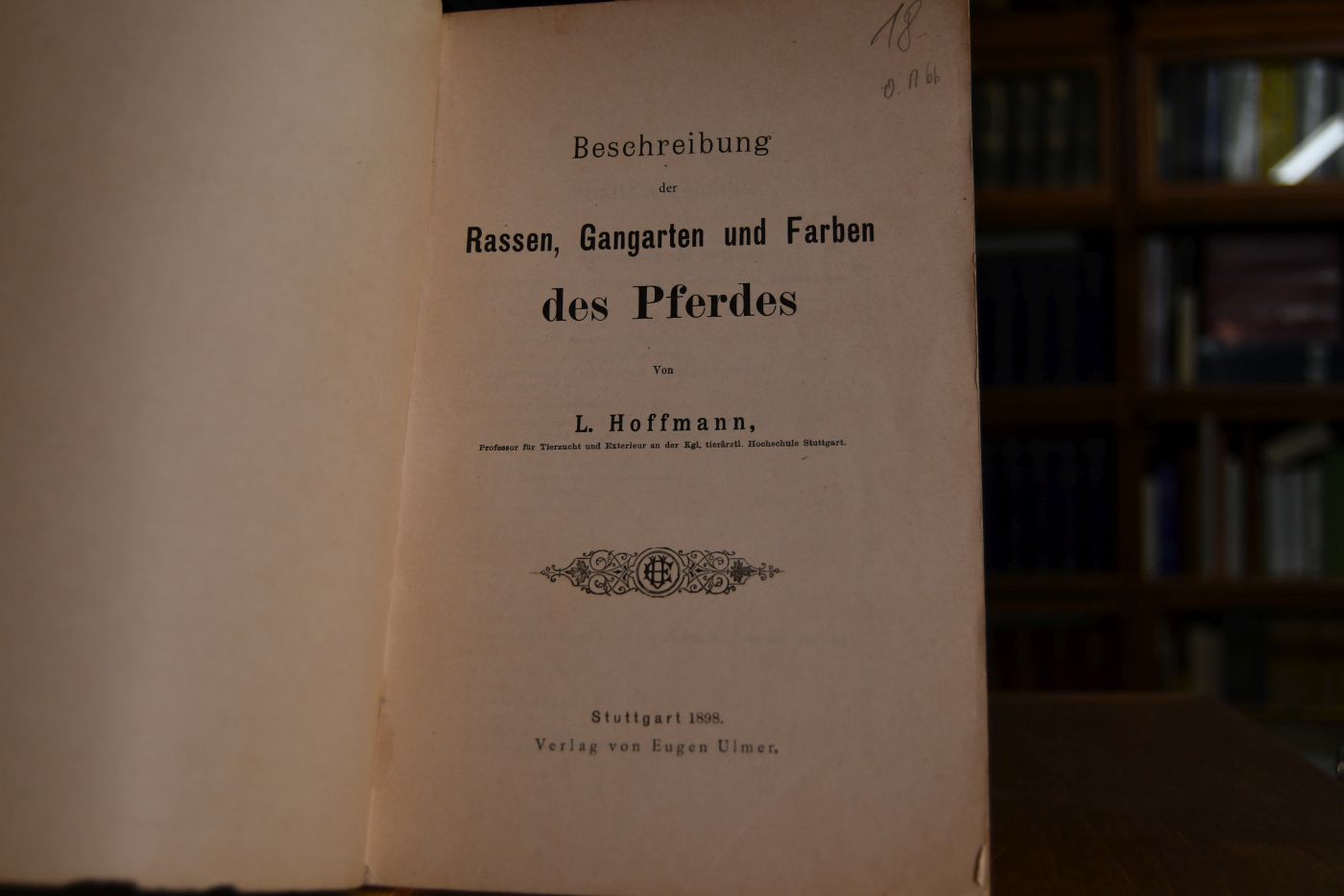 Beschreibung der Rassen, Gangarten und Farben des Pferdes.
