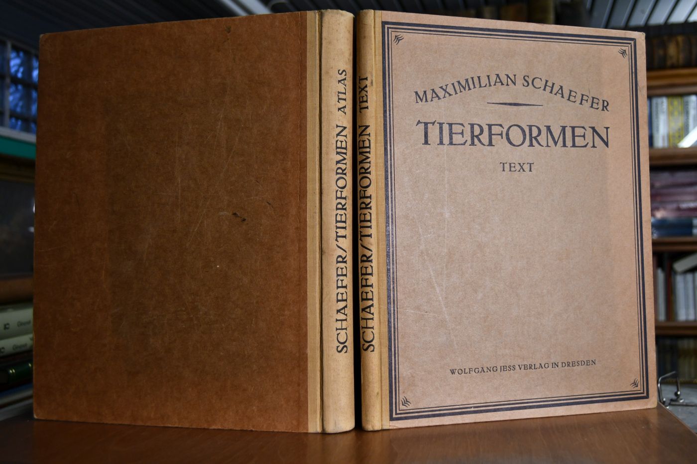 Tierformen. Vergleichende Studien über die Anatomie des Menschen und der Tiere für Künstler, Kunsthandwerker sowie Dilettanten ausgearbeitet. Text- und Atlasband.