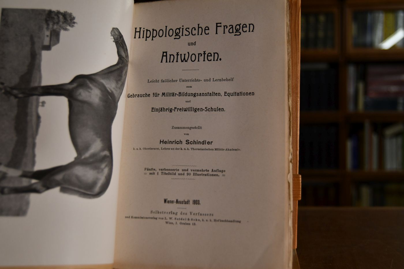 Hippologische Fragen und Antworten. Leicht faßlicher Unterrichts- und Lernbehelf zum Gebrauche für Militär-Bildungsanstalten, Equitationen und Einjährig-Freiwilligen-Schulen.