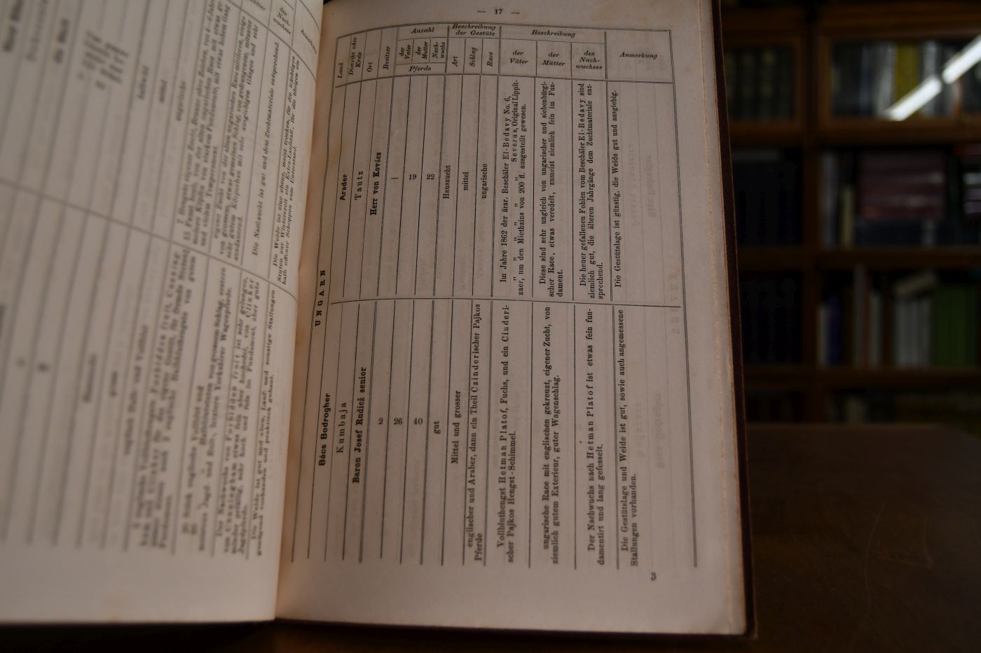 Die Privatgestüte im Kaiserthume Österreich. In tabellarischer Form nach authentischen Quellen zusammengestellt.