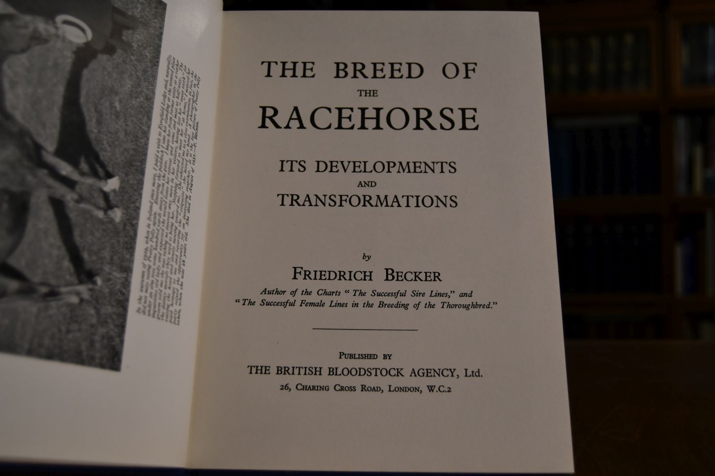 The Breed of the Racehorse. Its Developments and Transformations.