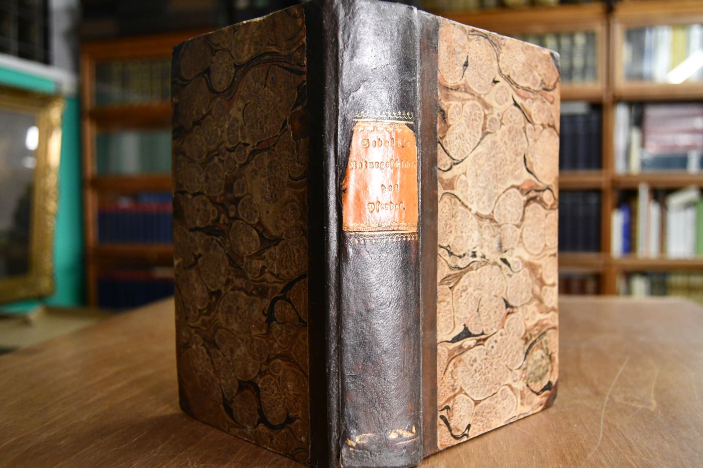 Vollständige Naturgeschichte des Pferdes mit besonderer Hinsicht auf die Litteratur dieses Gegenstandes dargestellt.
