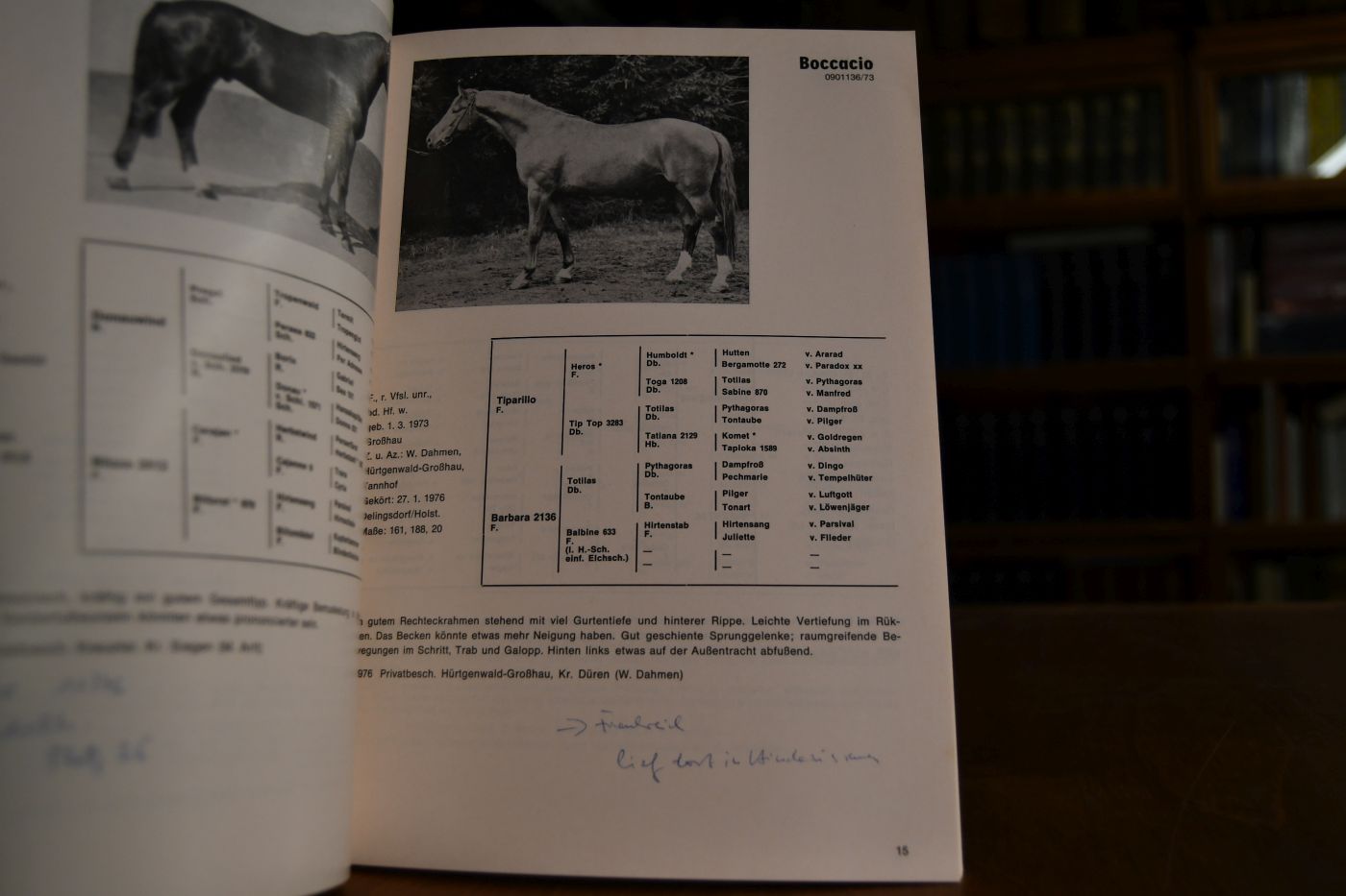 Trakehner Hengstbuch. 3. Nachtrag 1976.