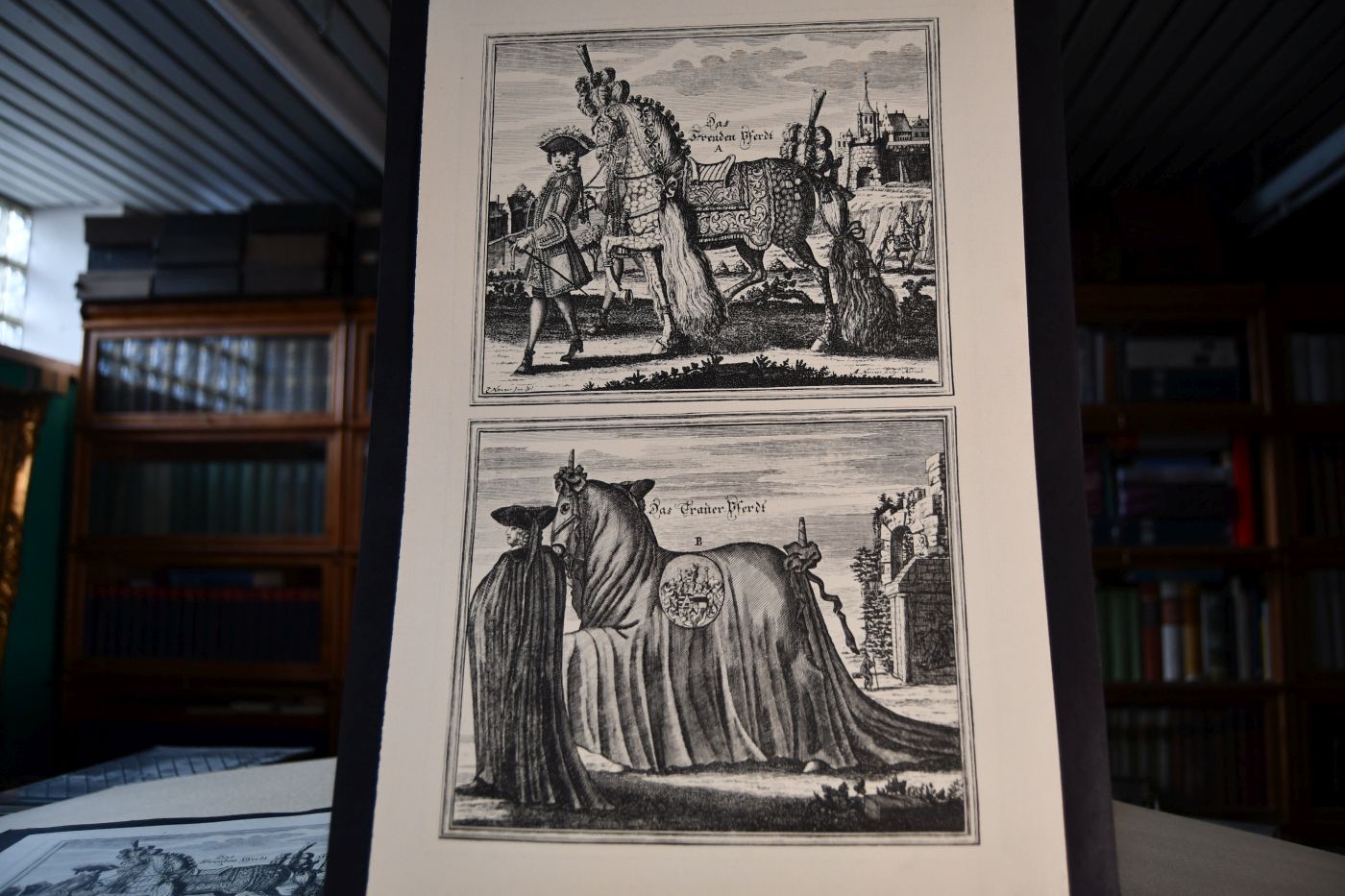 Das edle Pferd in der Reitschule. Nach den 14 Blättern der Kupferstecher A. u. E. Nunzer, Norimberg 1725 / [Vorw. Frh. von Langen]