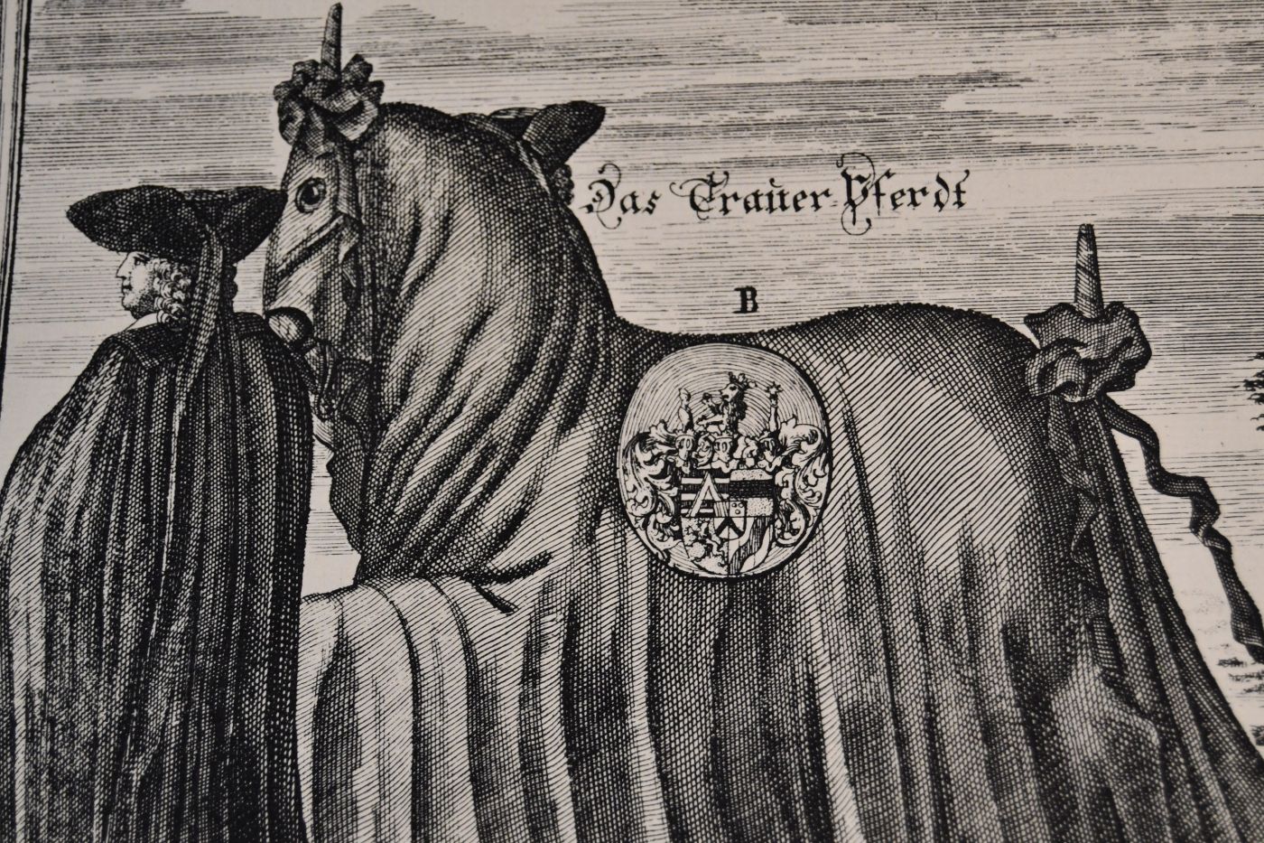 Das edle Pferd in der Reitschule. Nach den 14 Blättern der Kupferstecher A. u. E. Nunzer, Norimberg 1725 / [Vorw. Frh. von Langen]