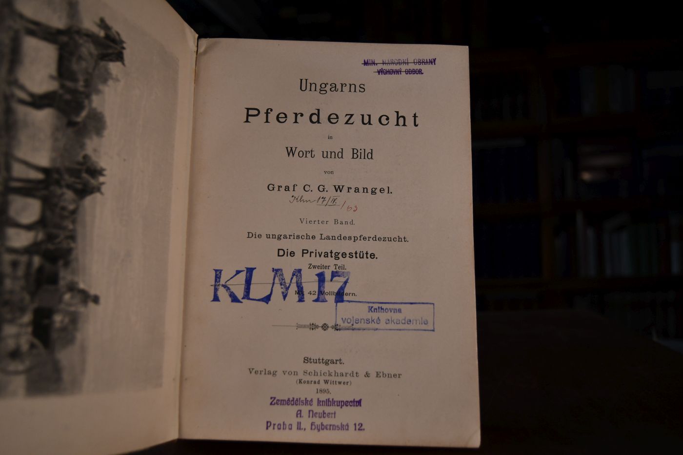 Ungarns Pferdezucht in Wort und Bild. Vierter Band. Die ungarische Landespferdezucht. Die Privatgestüte Zweiter Teil (apart).
