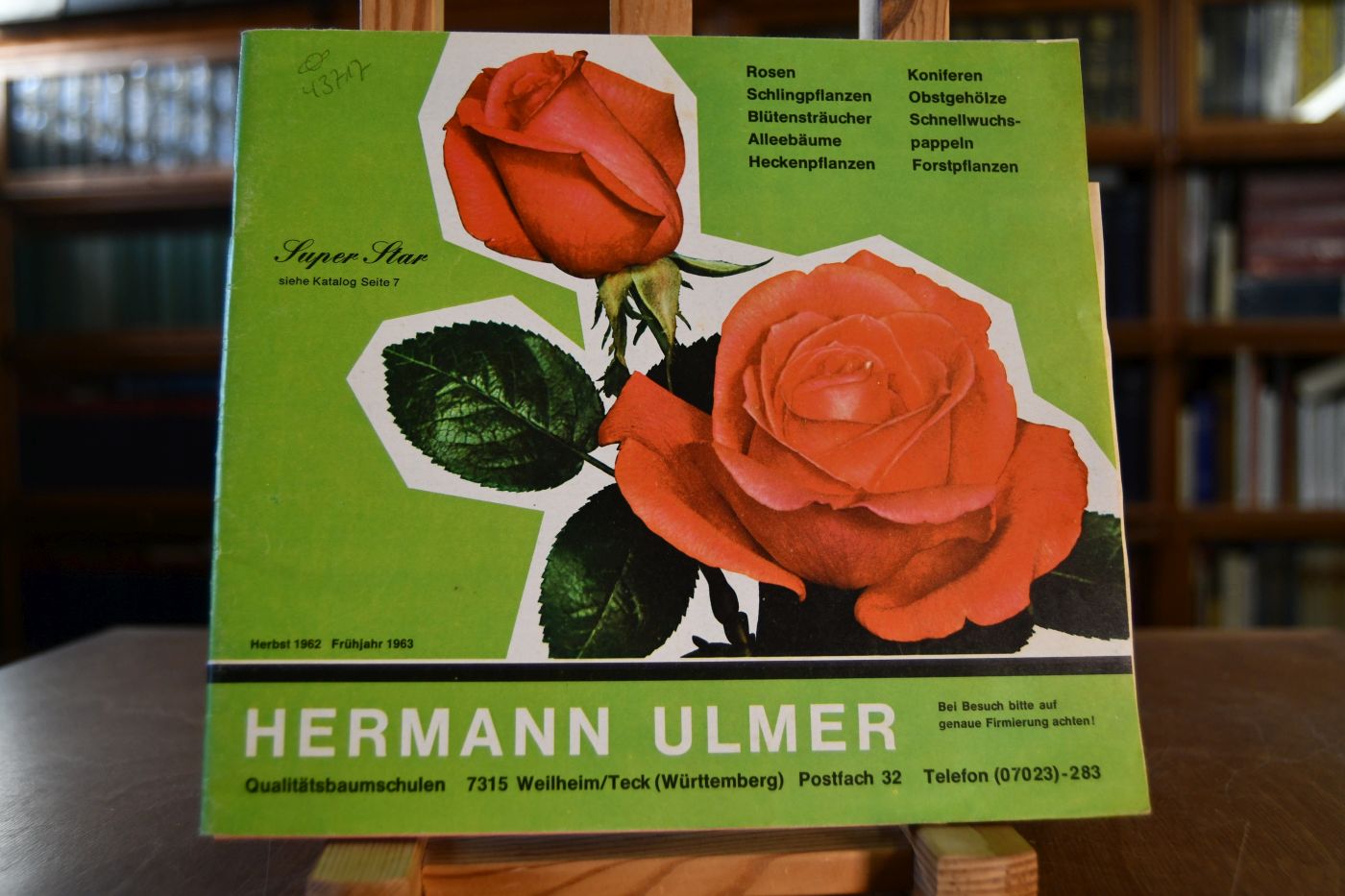 Hermann Ulmer Qualitätsbaumschulen Rosen, Schlingpflanzen, Blütensträucher, Alleebäume, Heckenpflanzen, Koniferen, Obstgehölze, Schnellwuchspappeln, Forstpflanzen. Herbst 1962 / Frühjahr 1963.