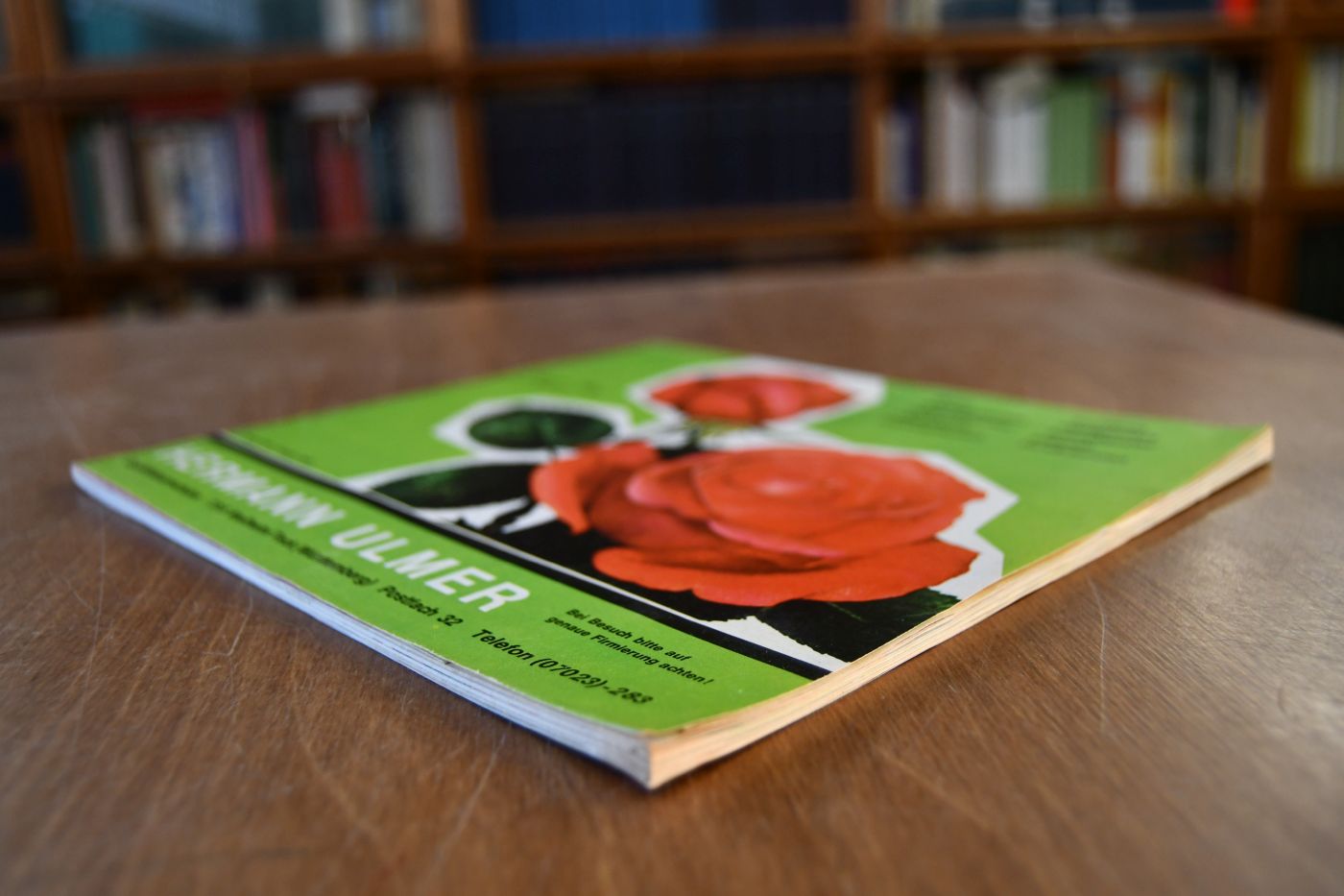 Hermann Ulmer Qualitätsbaumschulen Rosen, Schlingpflanzen, Blütensträucher, Alleebäume, Heckenpflanzen, Koniferen, Obstgehölze, Schnellwuchspappeln, Forstpflanzen. Herbst 1962 / Frühjahr 1963.