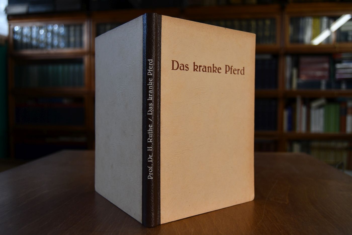 Das kranke Pferd.