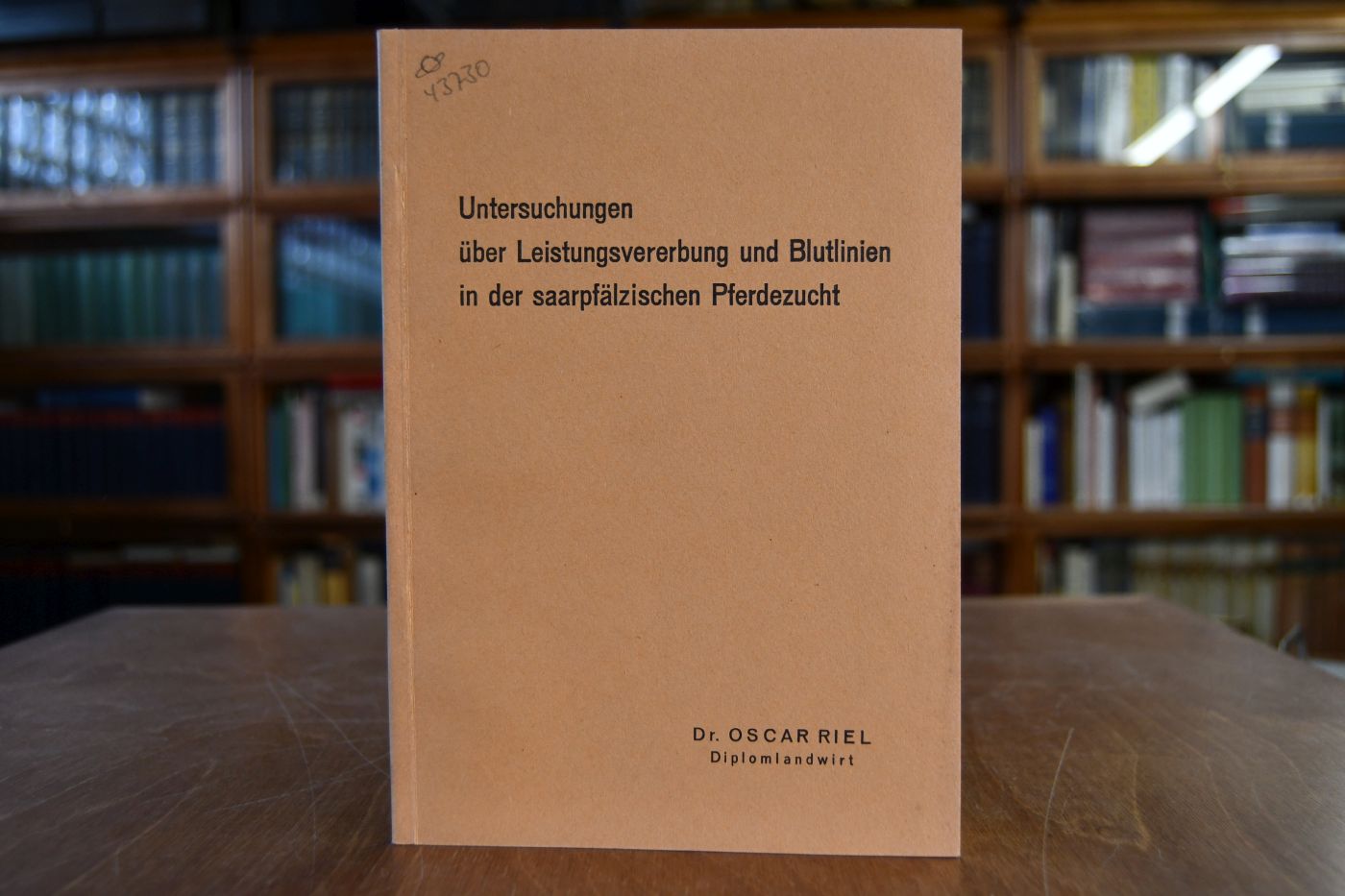 Untersuchungen über Leistungsvererbung und Blutlinien in der saarpfälzischen Pferdezucht.