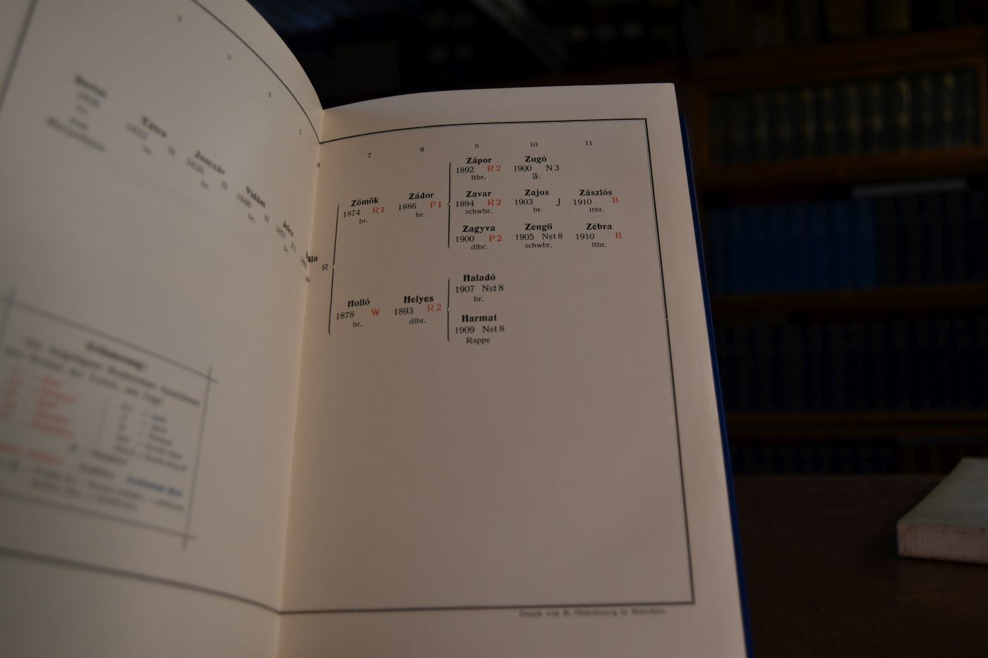 Ihrer Königlichen Hoheit der Prinzessin Ludwig von Bayern Gestüt Sarvar Ungarn/Komitat Vas. Eine Gestütsstudie.