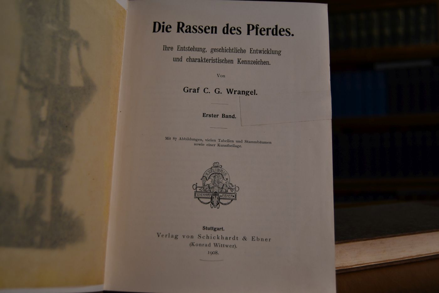 Die Rassen des Pferdes. Ihre Entstehung, geschichtliche Entwicklung und charakteristischen Kennzeichen. 2 Bde.
