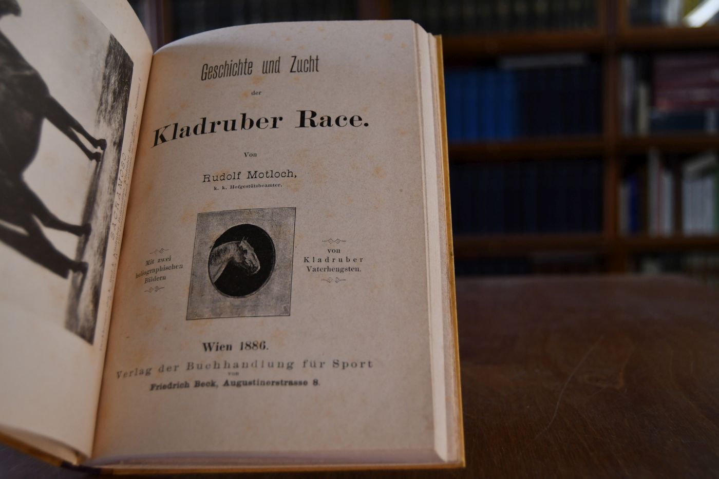 Geschichte und Zucht der Kladruber Race.