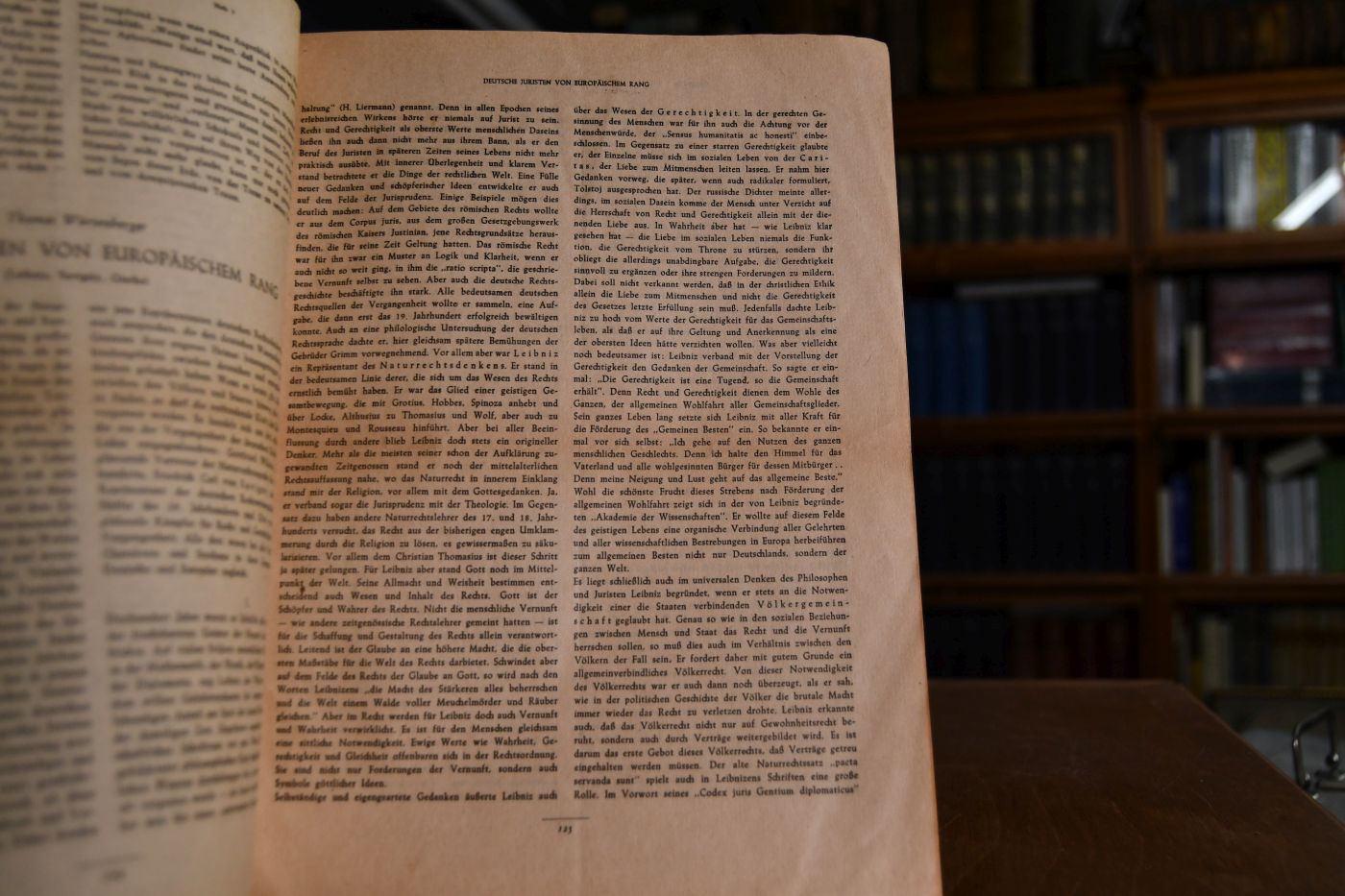 Deutsche Juristen von europäischem Rang (Leibniz, Savigny, Gierke).