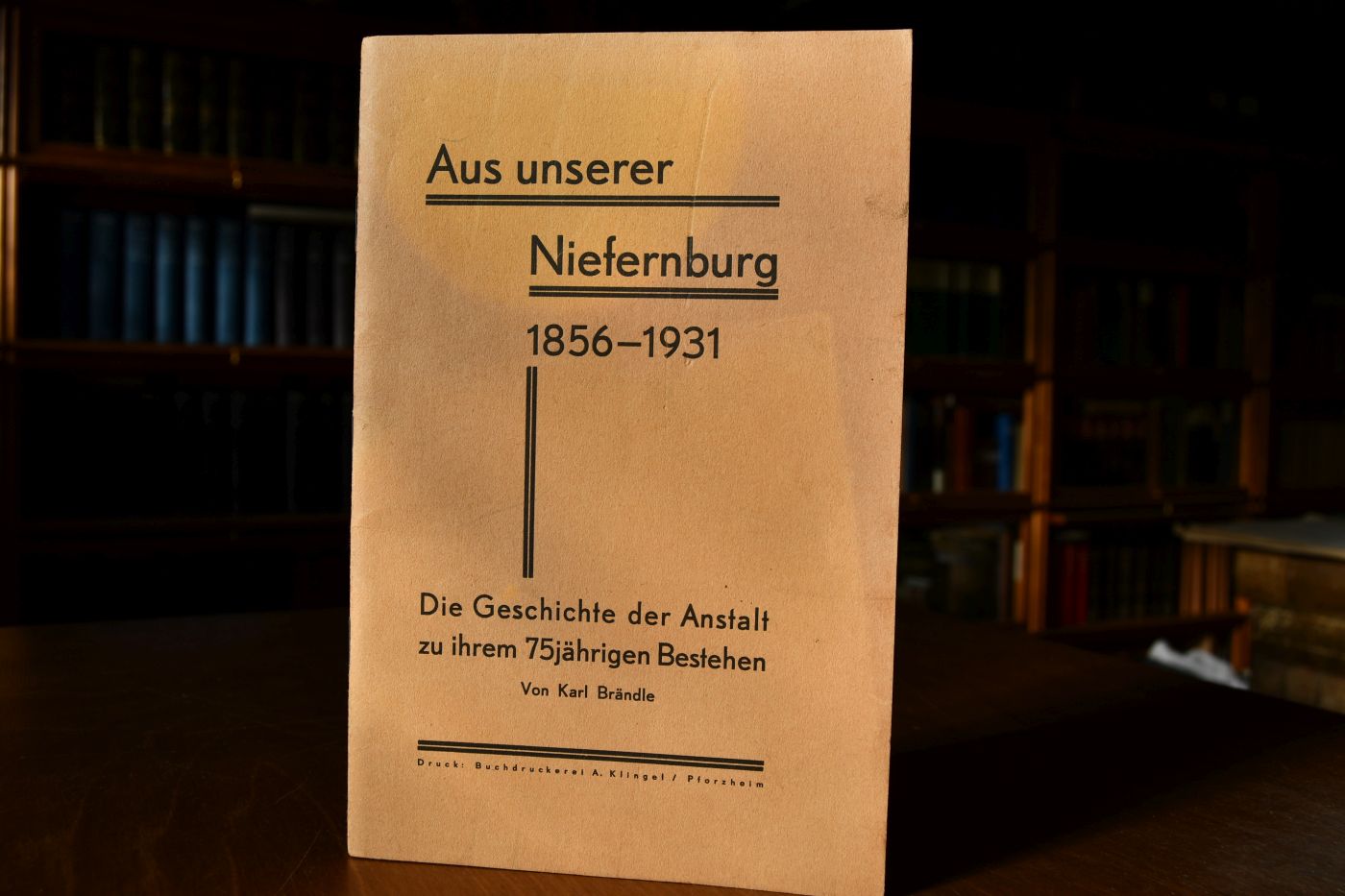 Aus unserer Niefernburg 1856 - 1931. Die Geschichte der Anstalt zu ihrem 75jährigen Bestehen.