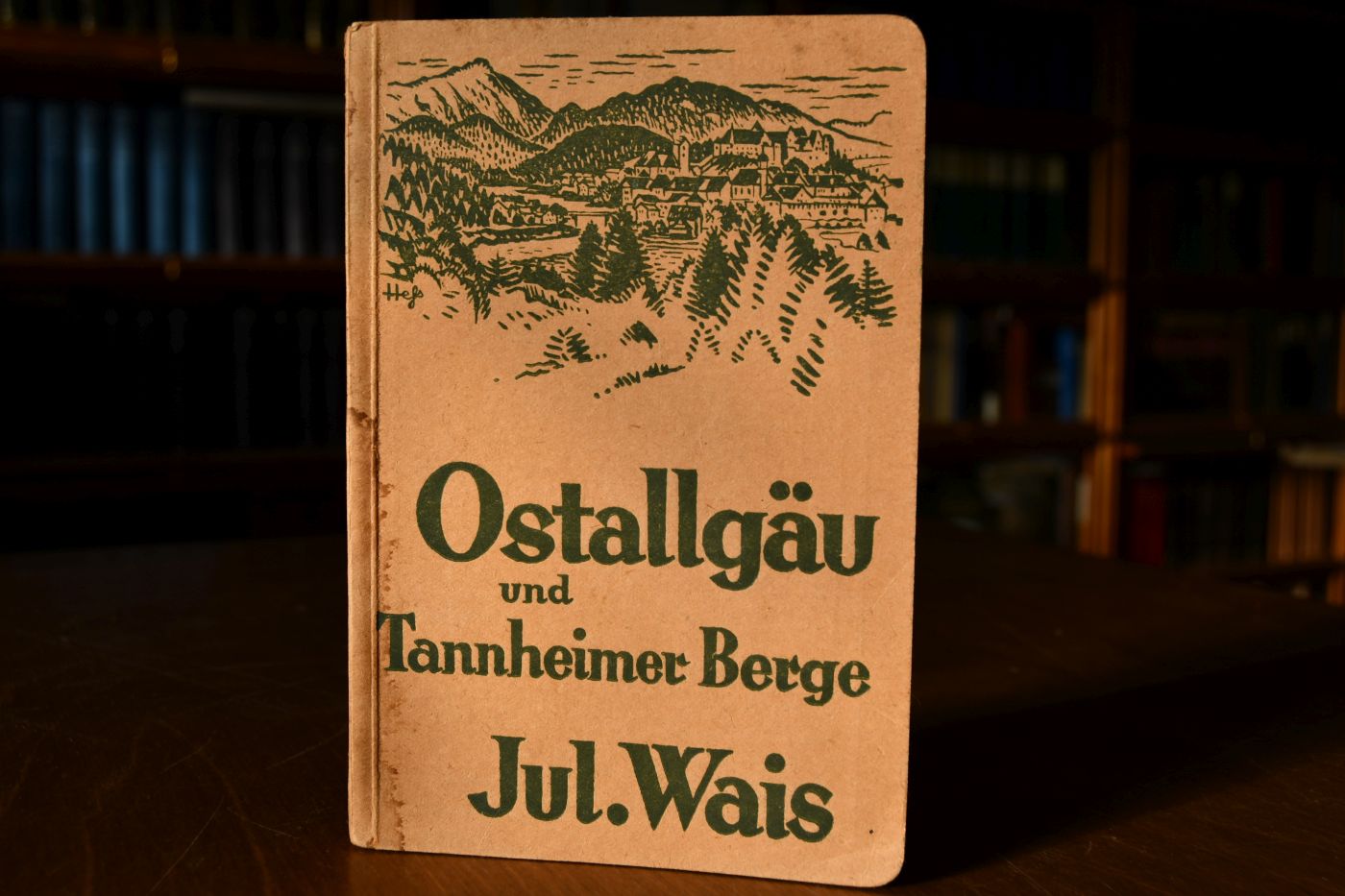 Ostallgäu und Tannheimer Berge. Wanderfahrten bei Nesselwang, Pfronten, Markt Oberdorf, Füssen, Hohenschwangau (Königschlösser, Plansee), Reutte, Tannheim u.a.