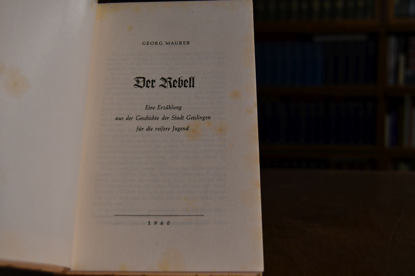 Der Rebell. Eine Erzählung aus der Geschichte der Stadt Geislingen für die reifere Jugend.