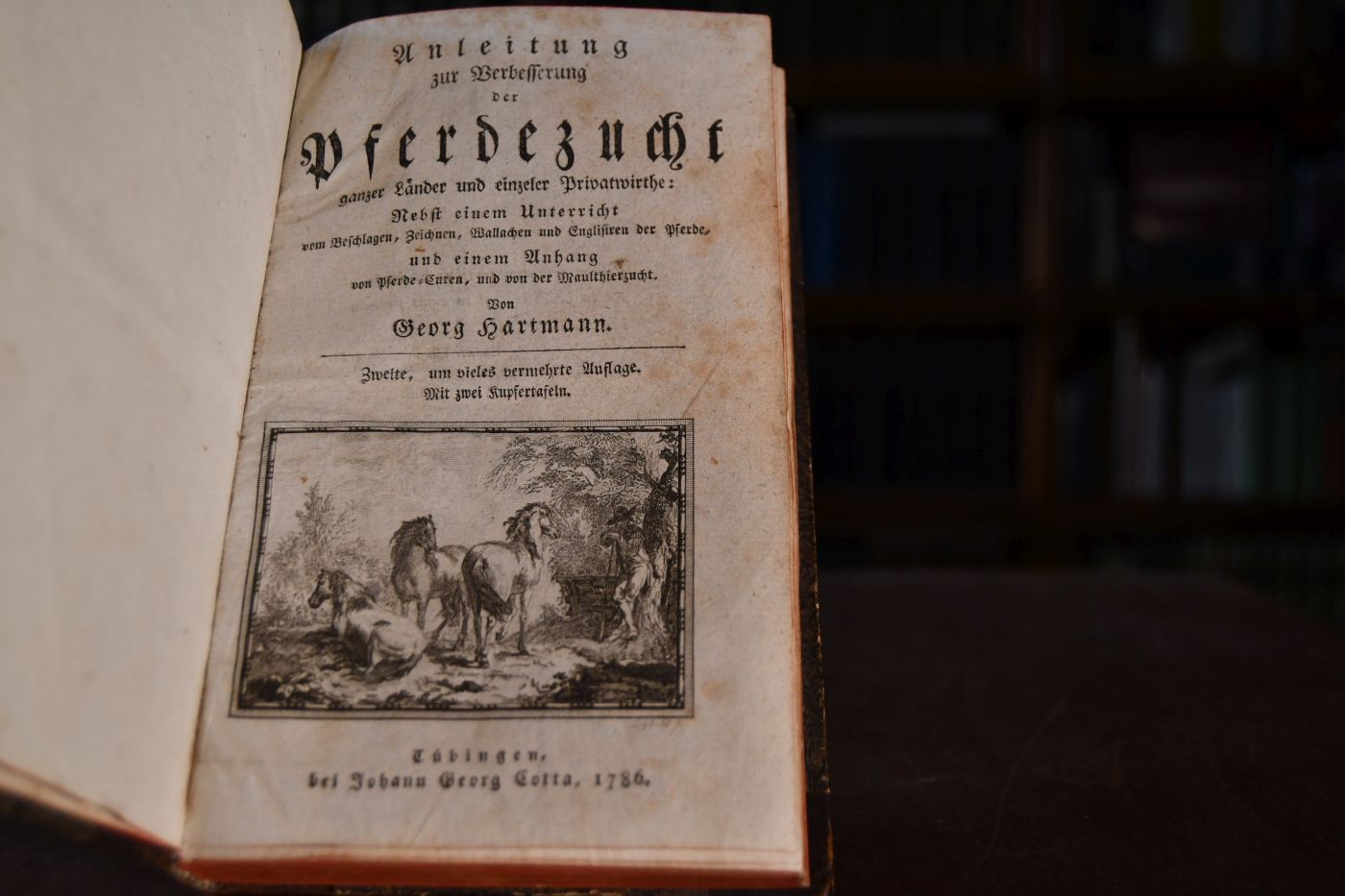 Anleitung zur Verbesserung der Pferdezucht ganzer Länder und einzelner Privatwirthe Nebst einem Unterricht vom Beschlagen, Zeichnen, Wallachen und Englisieren der Pferde, und einem Anhang von Pferde-Enten, und von der Maulthierzucht.