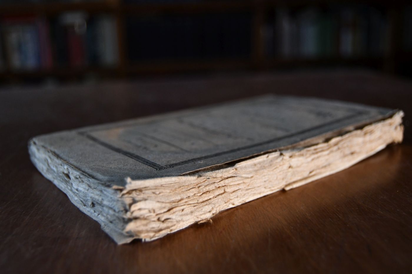 Die Zäumungskunde. Ein Handbuch für Kavallerie-Offiziers, Bereiter und Pferde-Liebhaber.