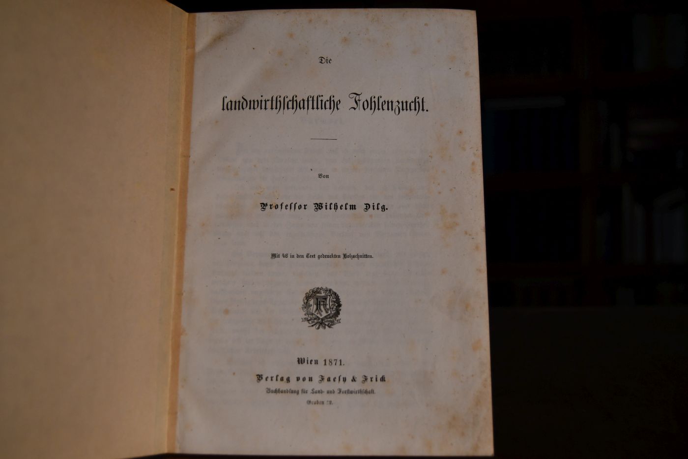 Die landwirthschaftliche Fohlenzucht.