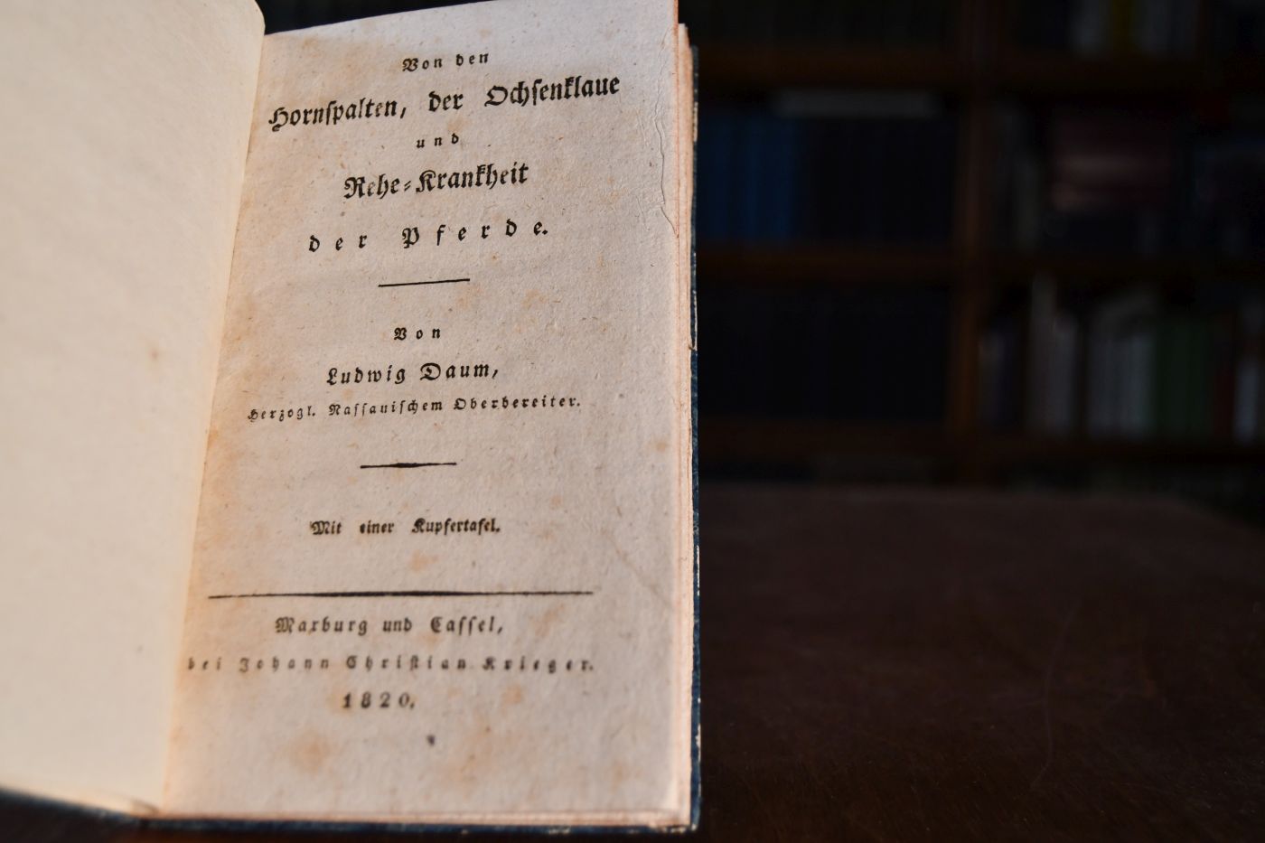 Von den Hornspalten, der Ochsenklaue und Rehe-Krankheit der Pferde.